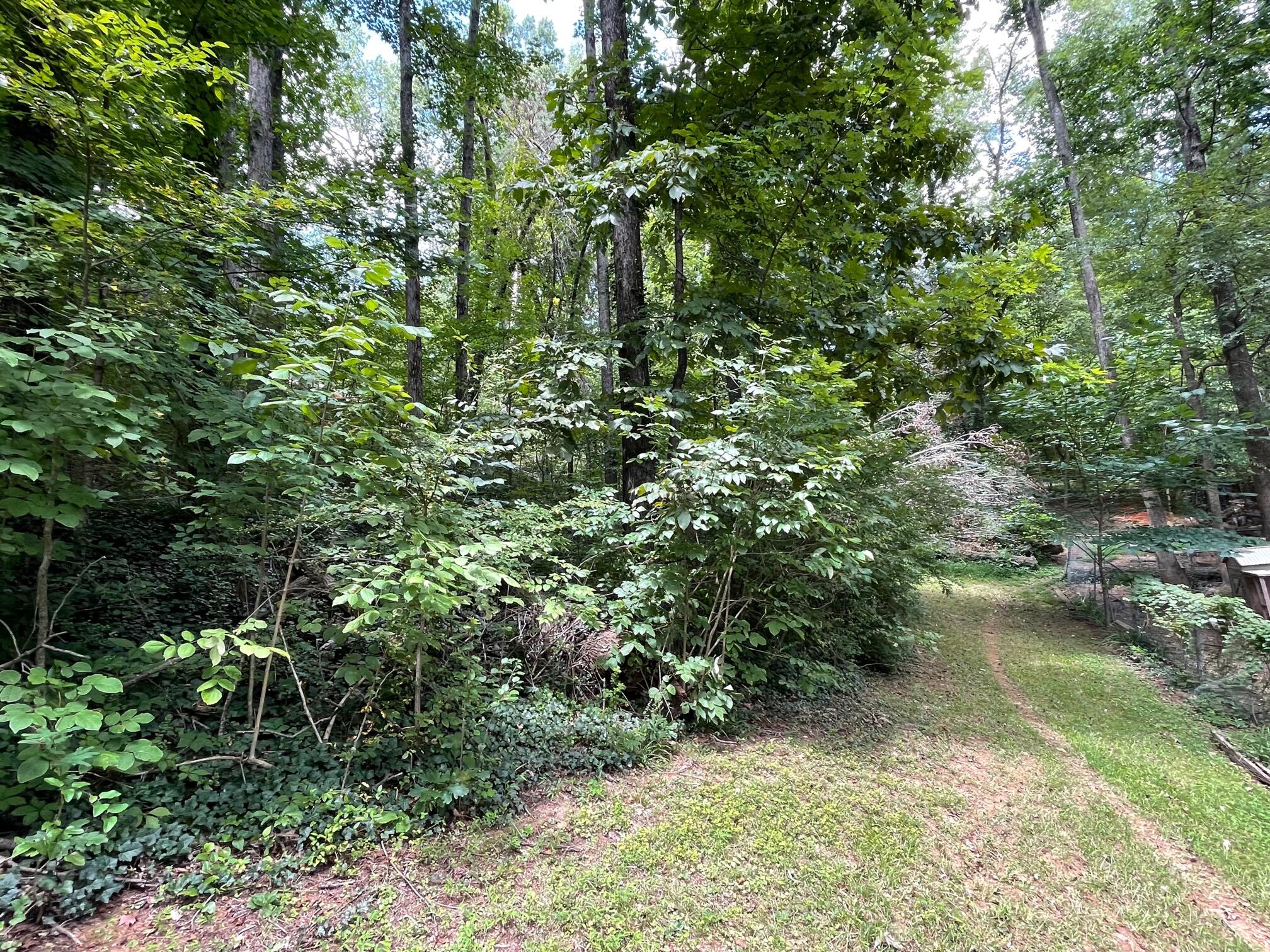 311 Shady Crest Drive