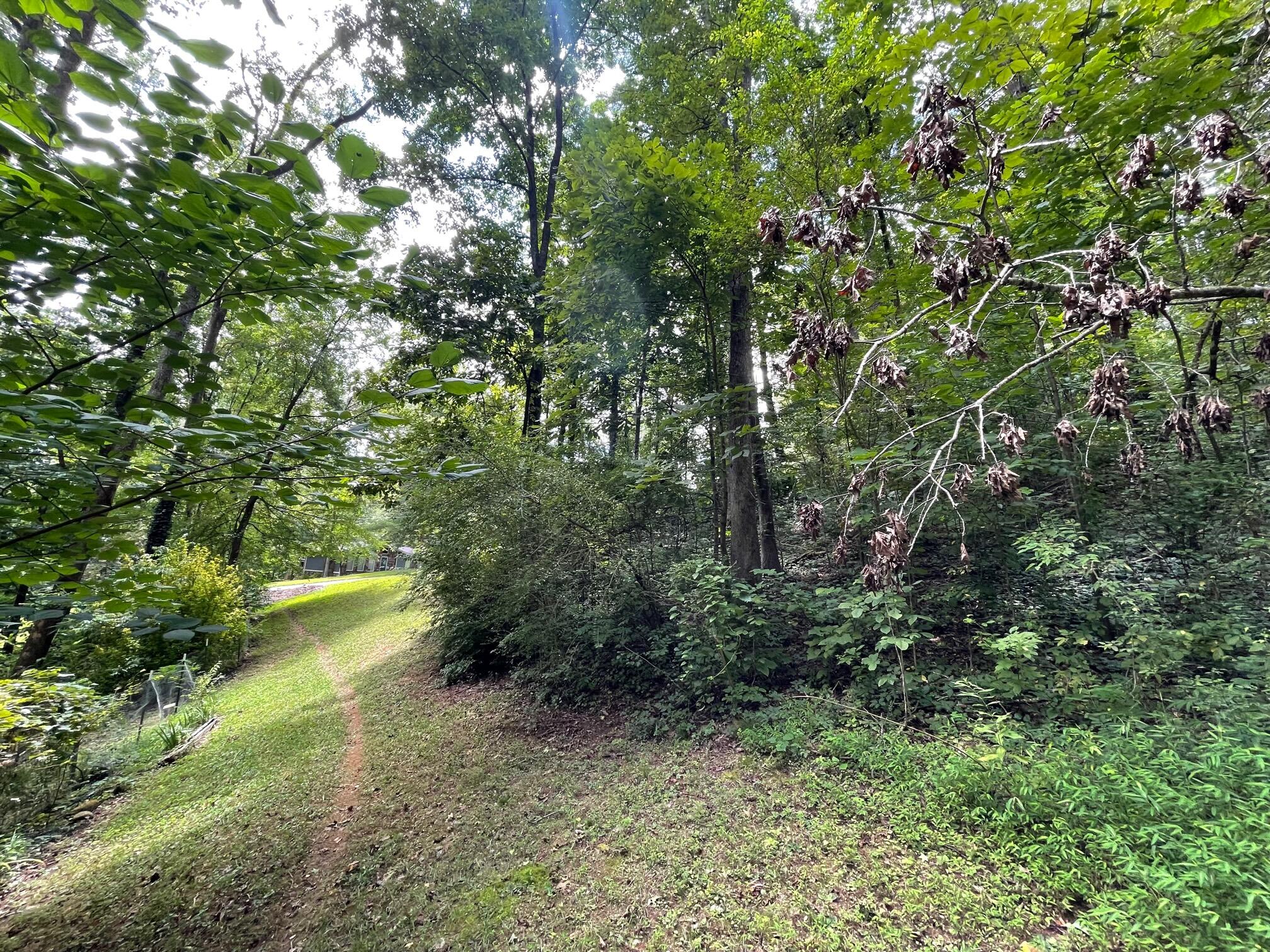 311 Shady Crest Drive