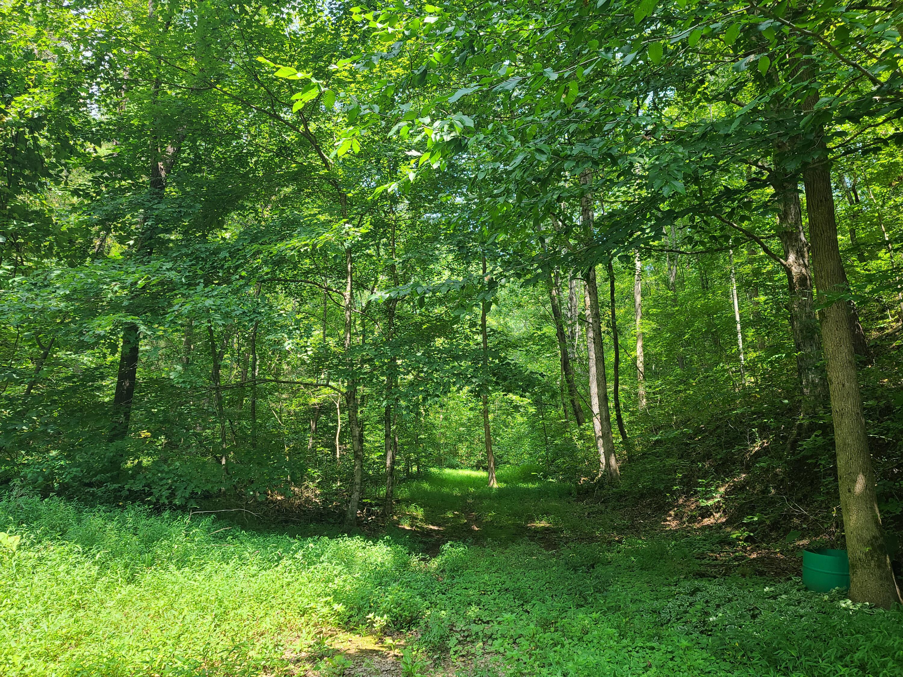 1119 Co Road 480
