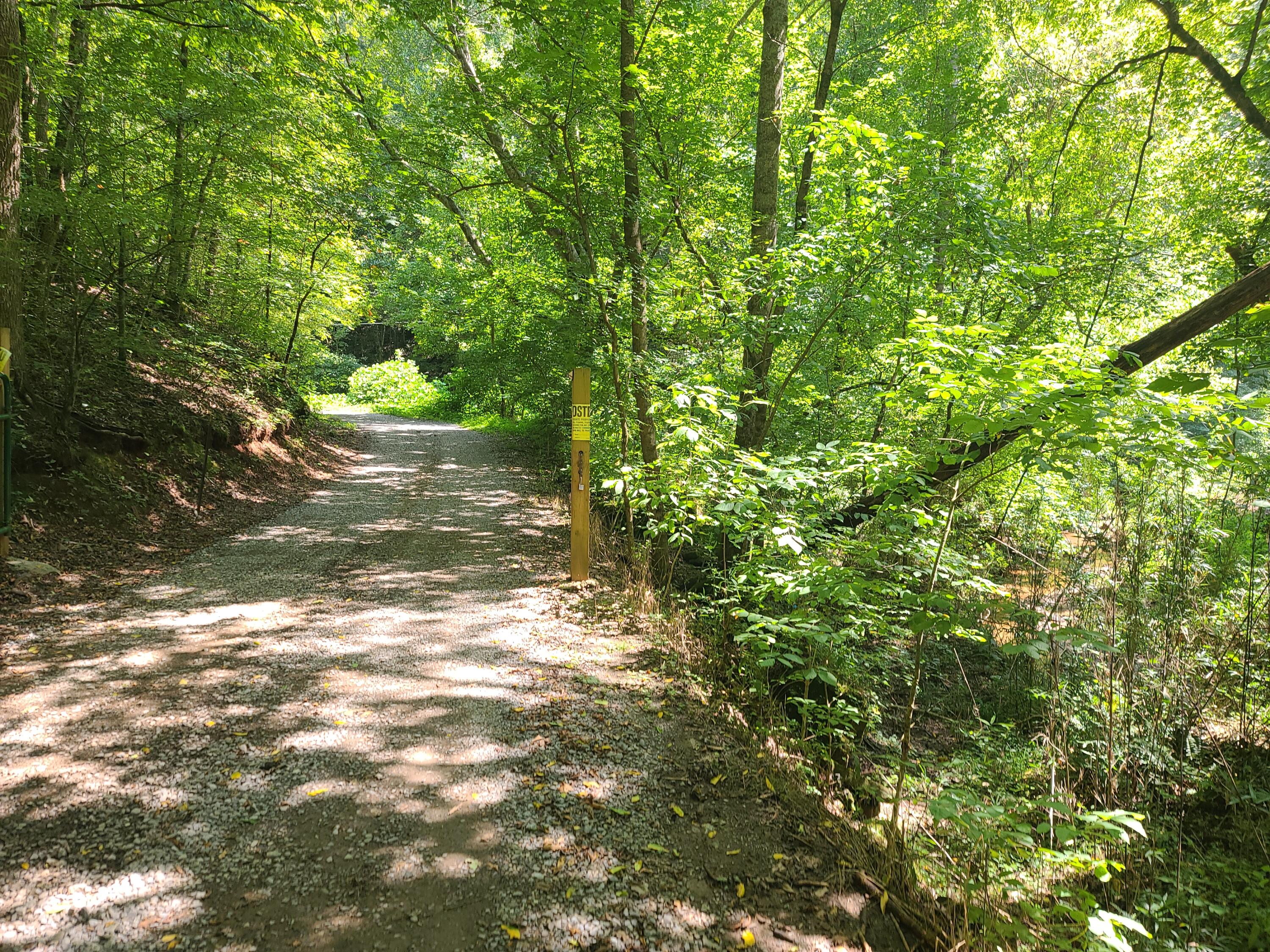 1119 Co Road 480