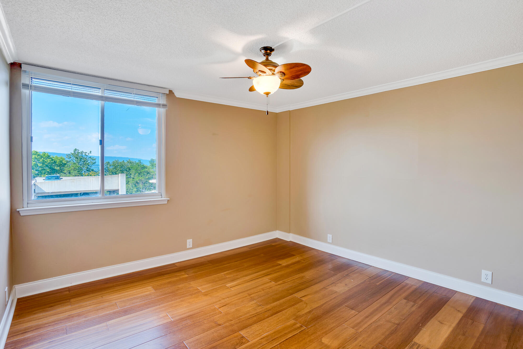 1131 Stringers Ridge Road, 4c