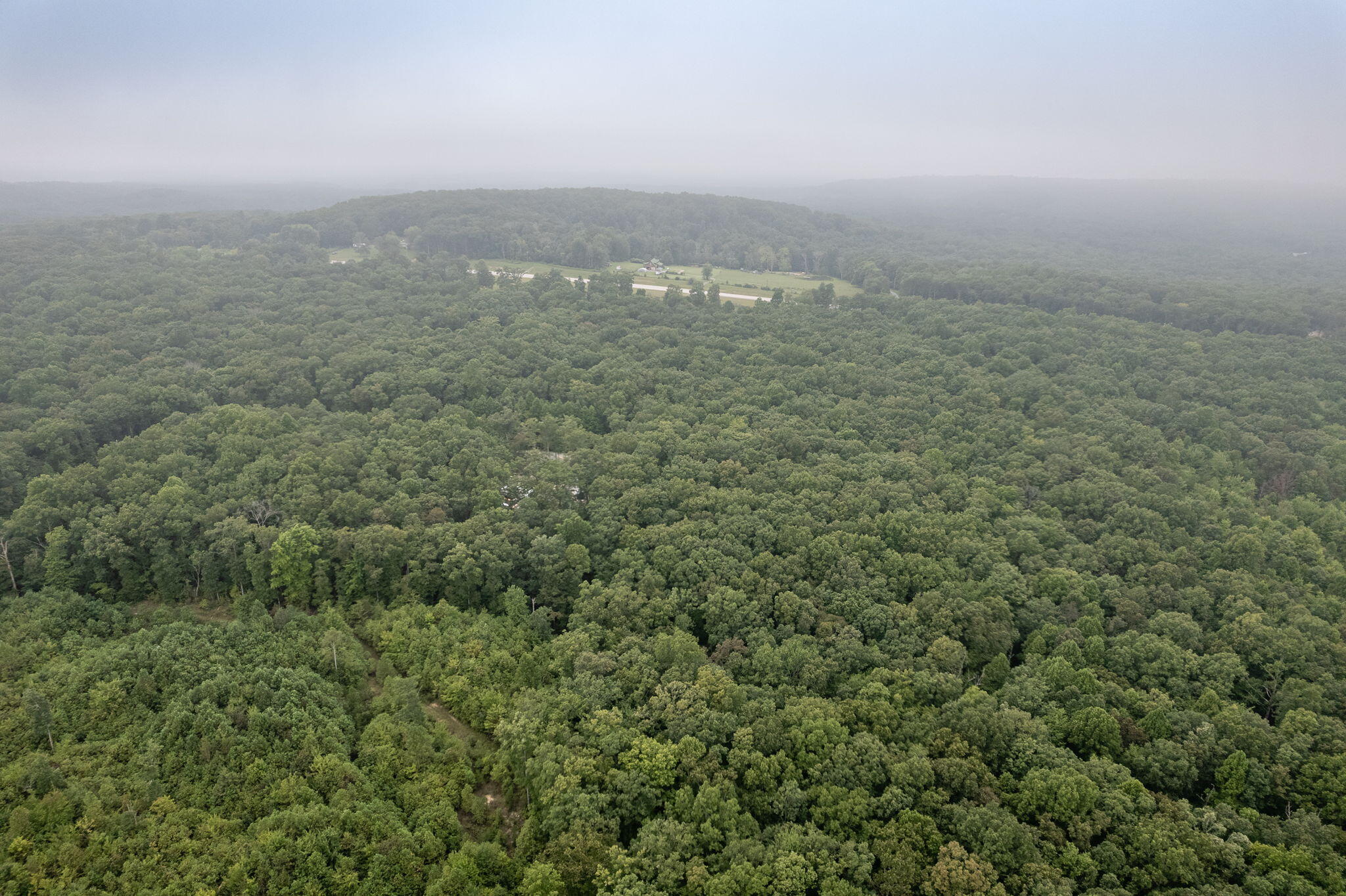 650 Green Forest Road