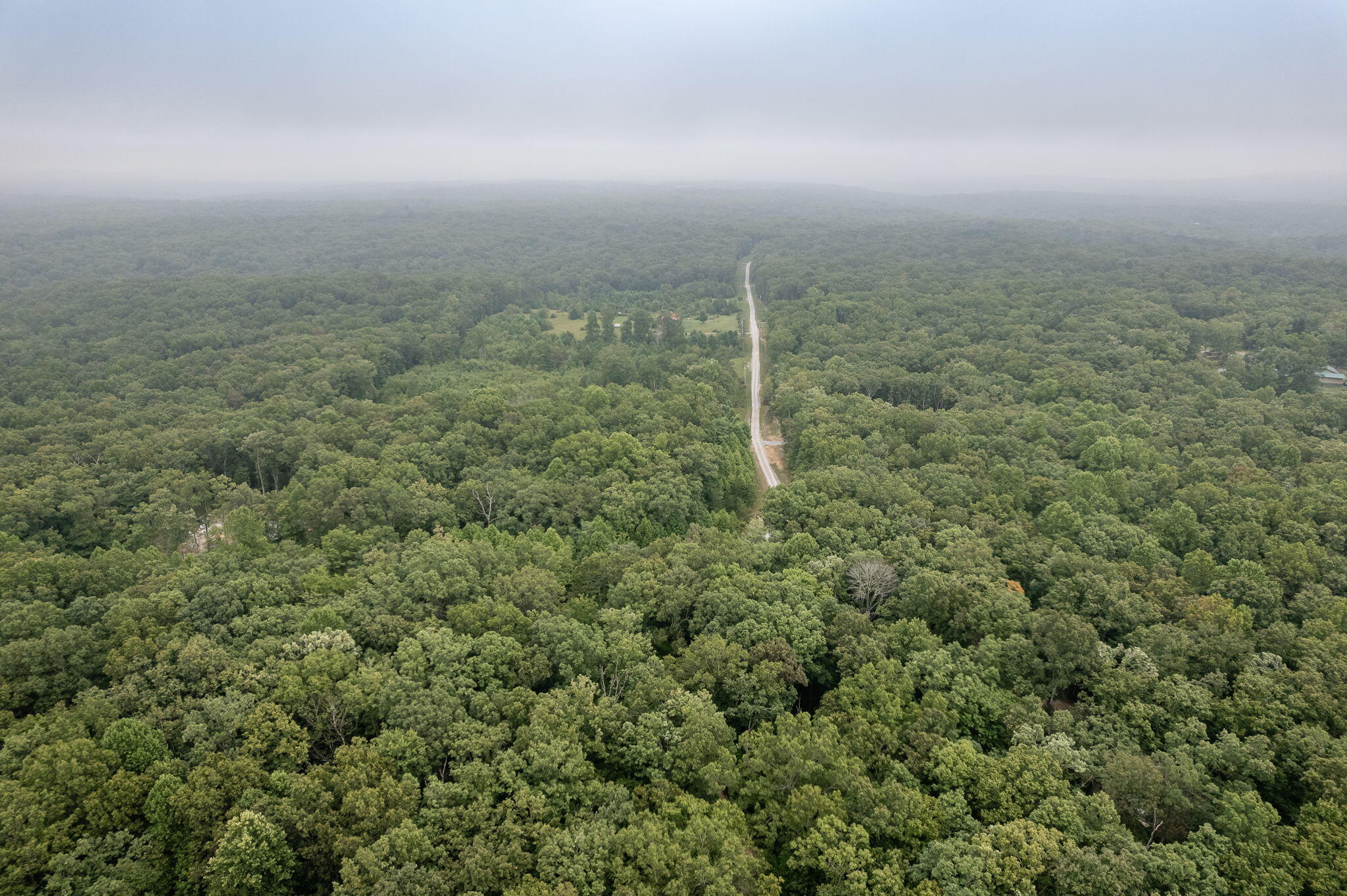 650 Green Forest Road