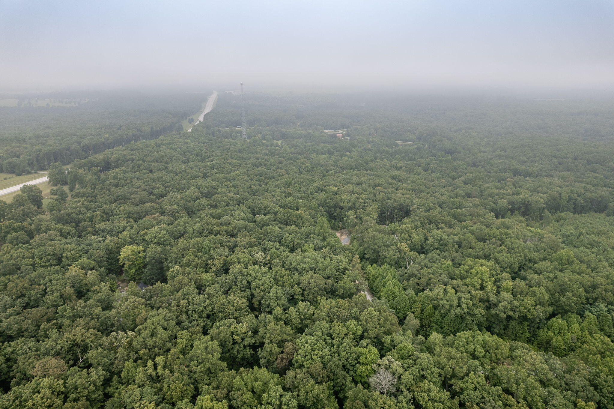 650 Green Forest Road