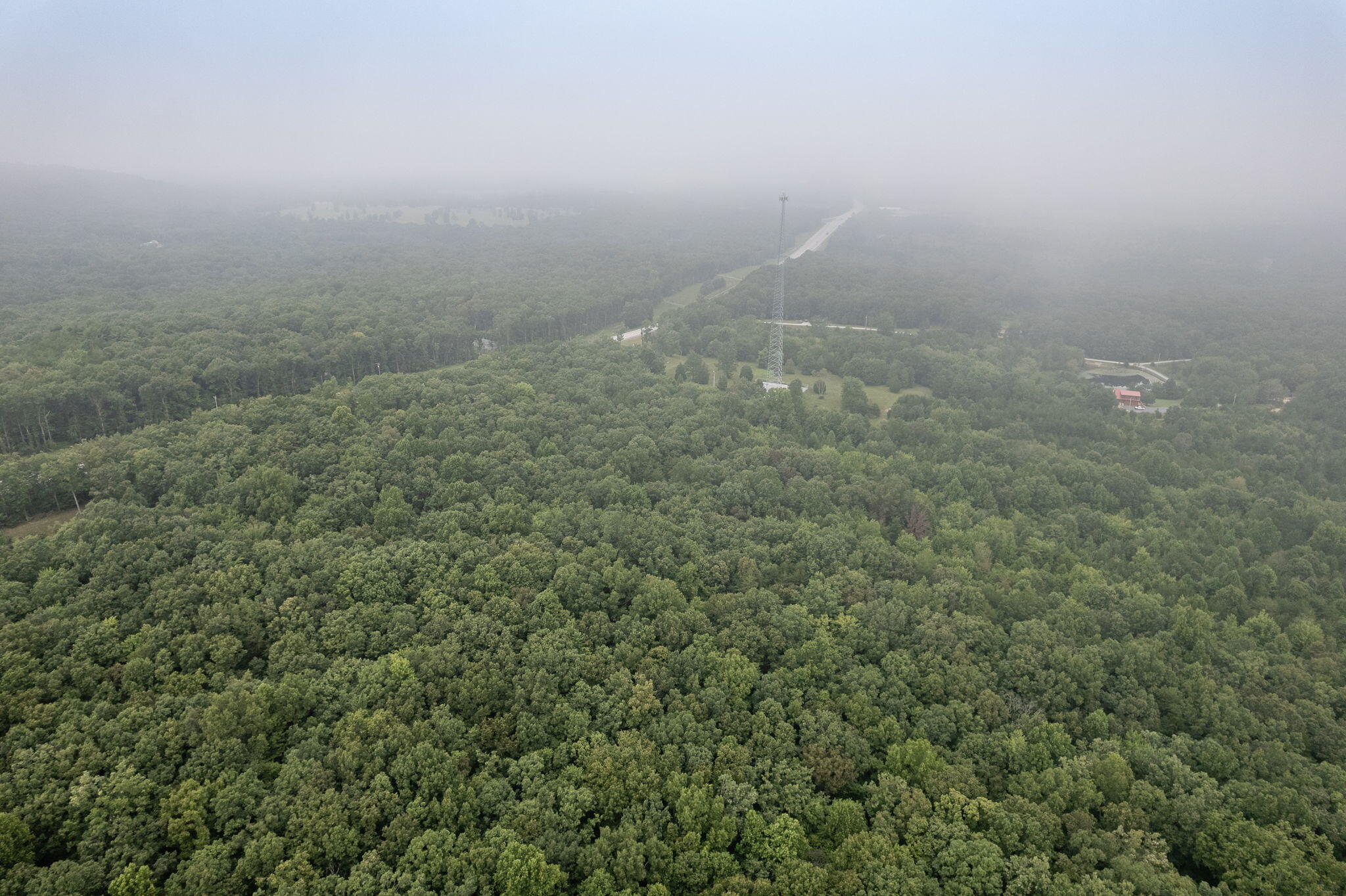 650 Green Forest Road
