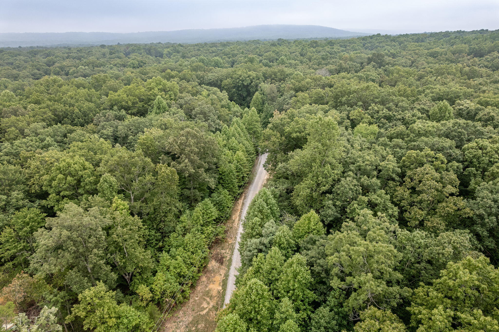 650 Green Forest Road