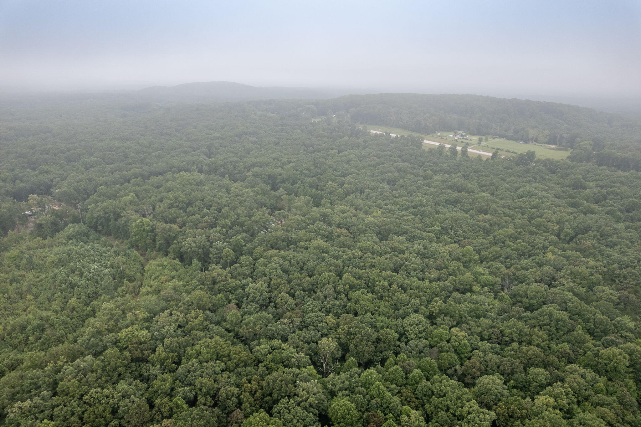 650 Green Forest Road