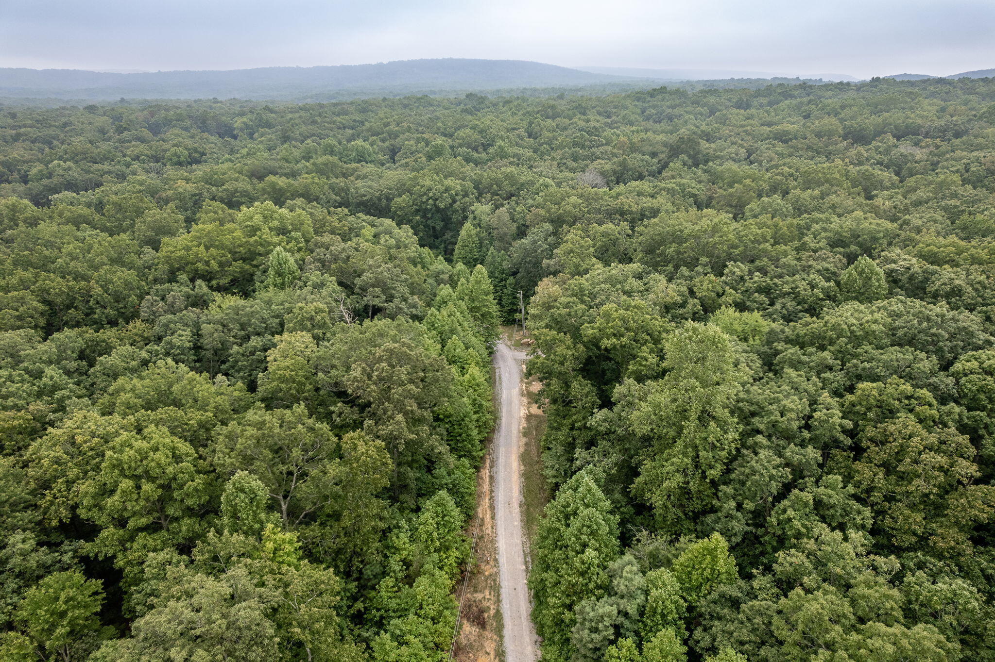 650 Green Forest Road