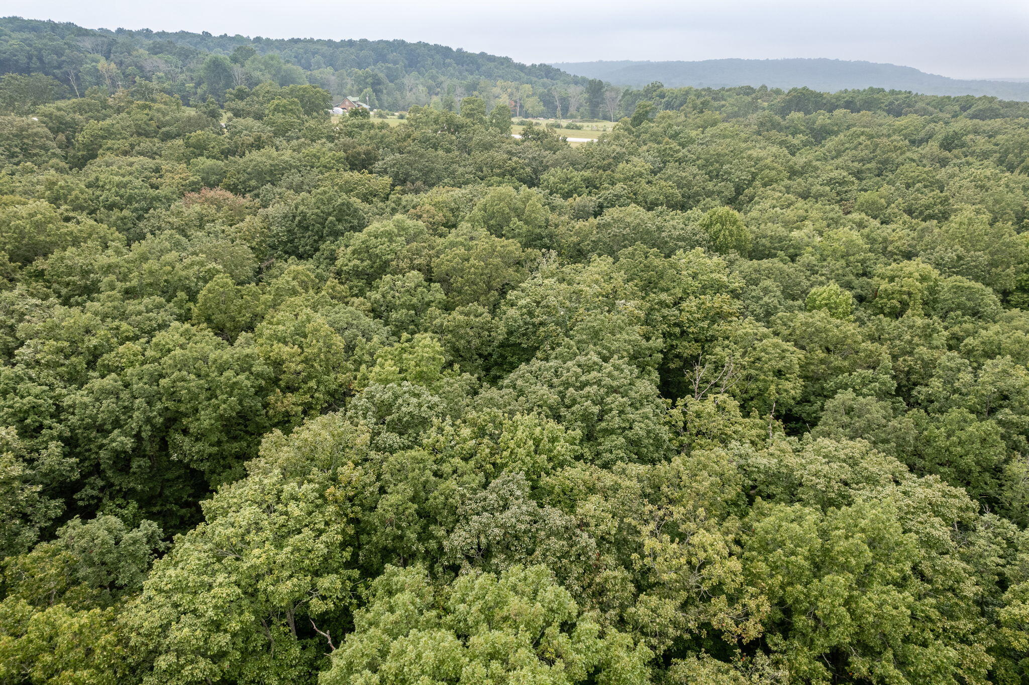 650 Green Forest Road