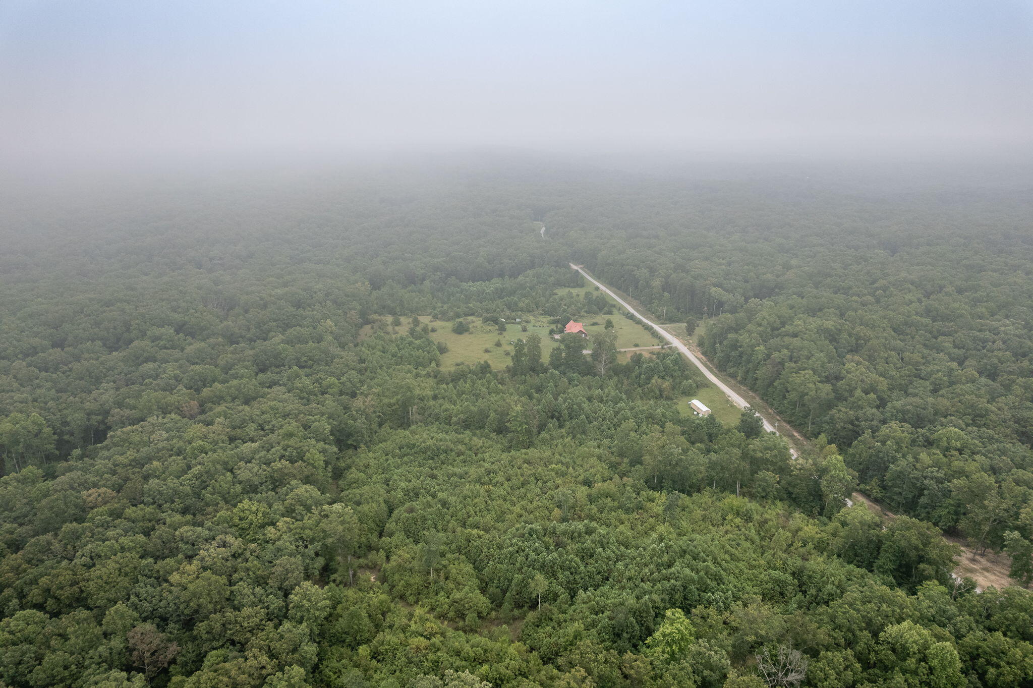 650 Green Forest Road