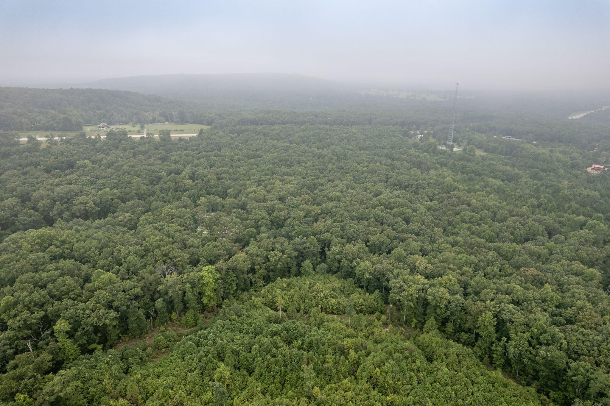 650 Green Forest Road