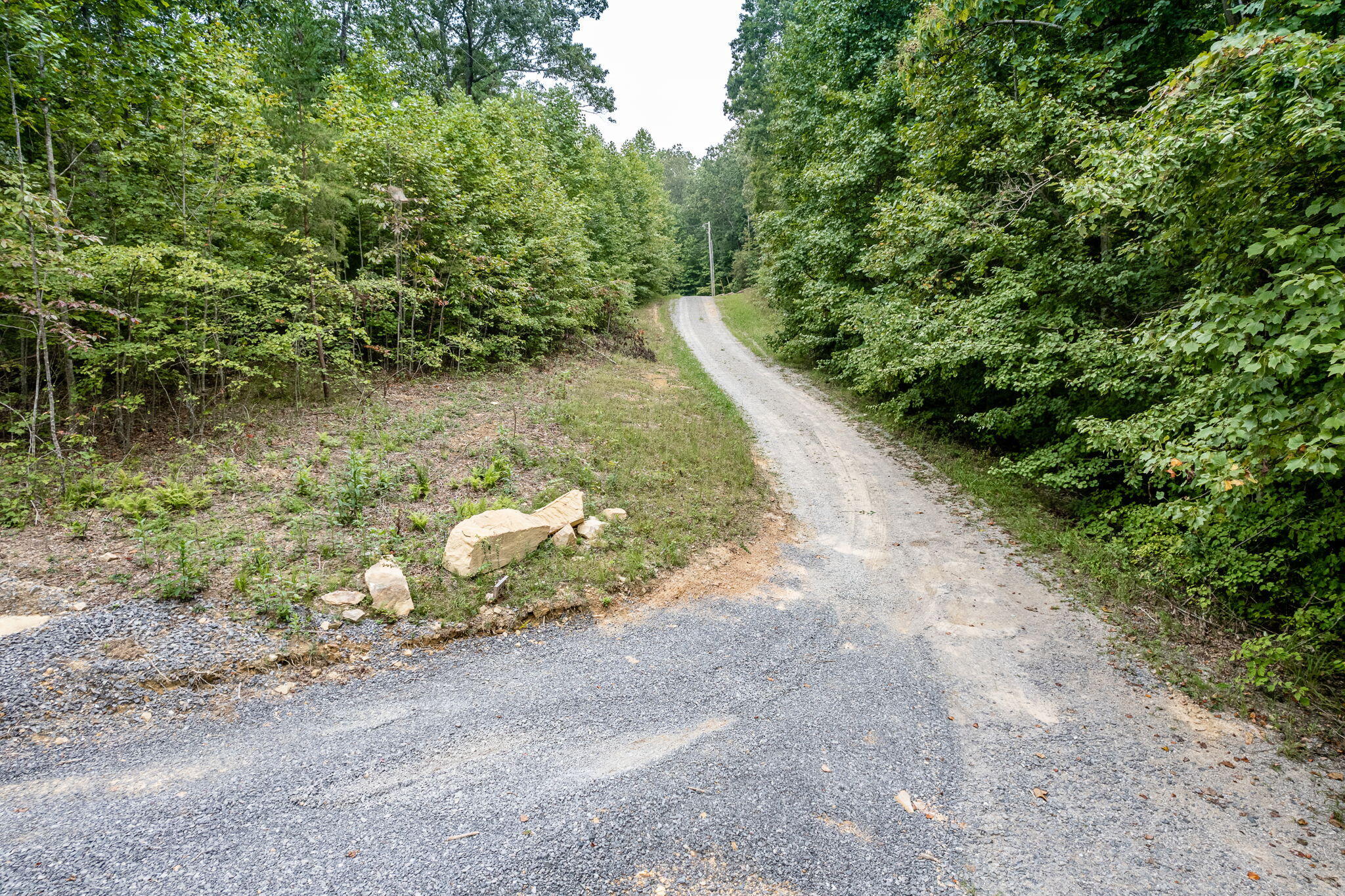 650 Green Forest Road