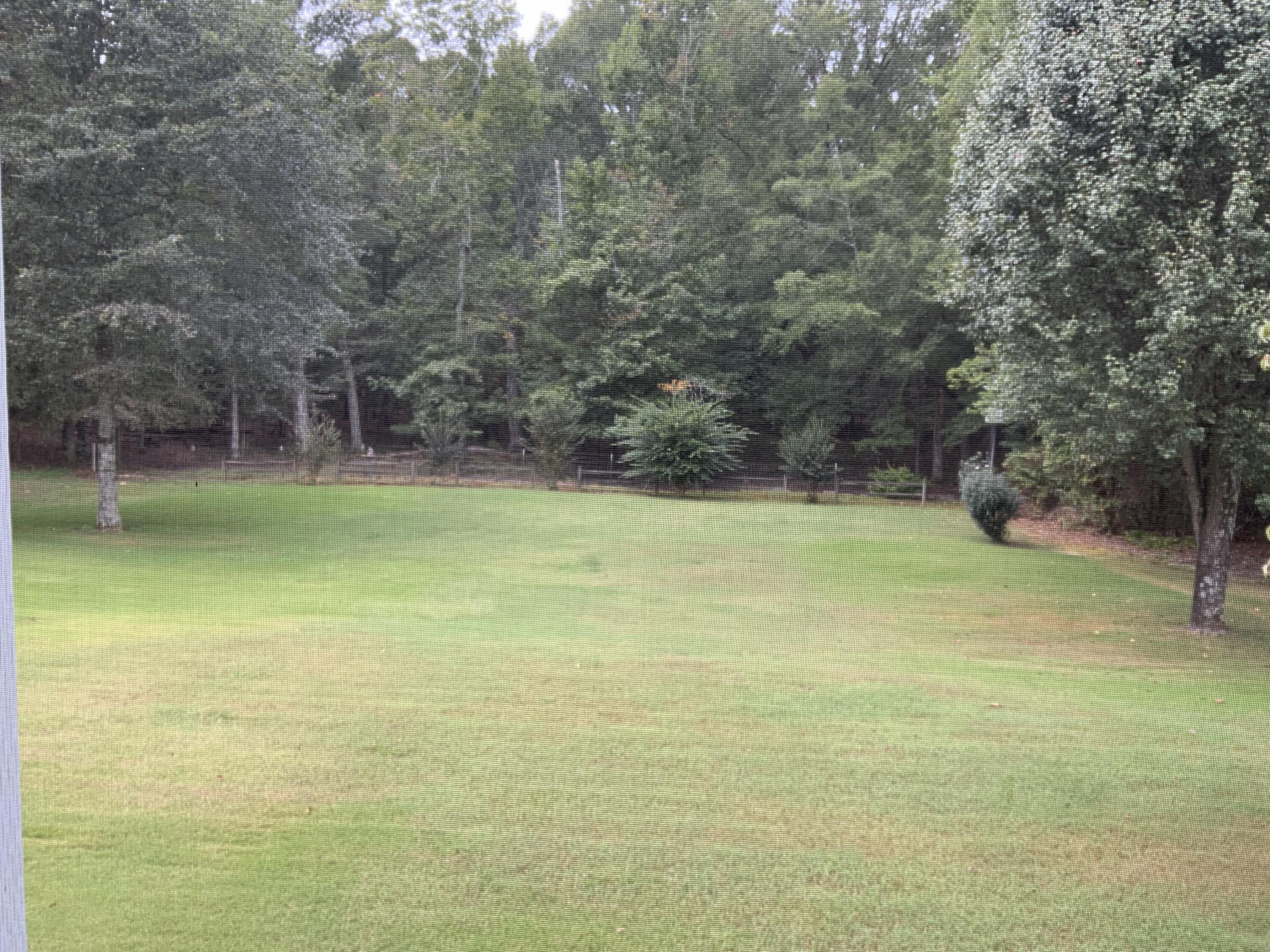 244 Stonecrest Circle