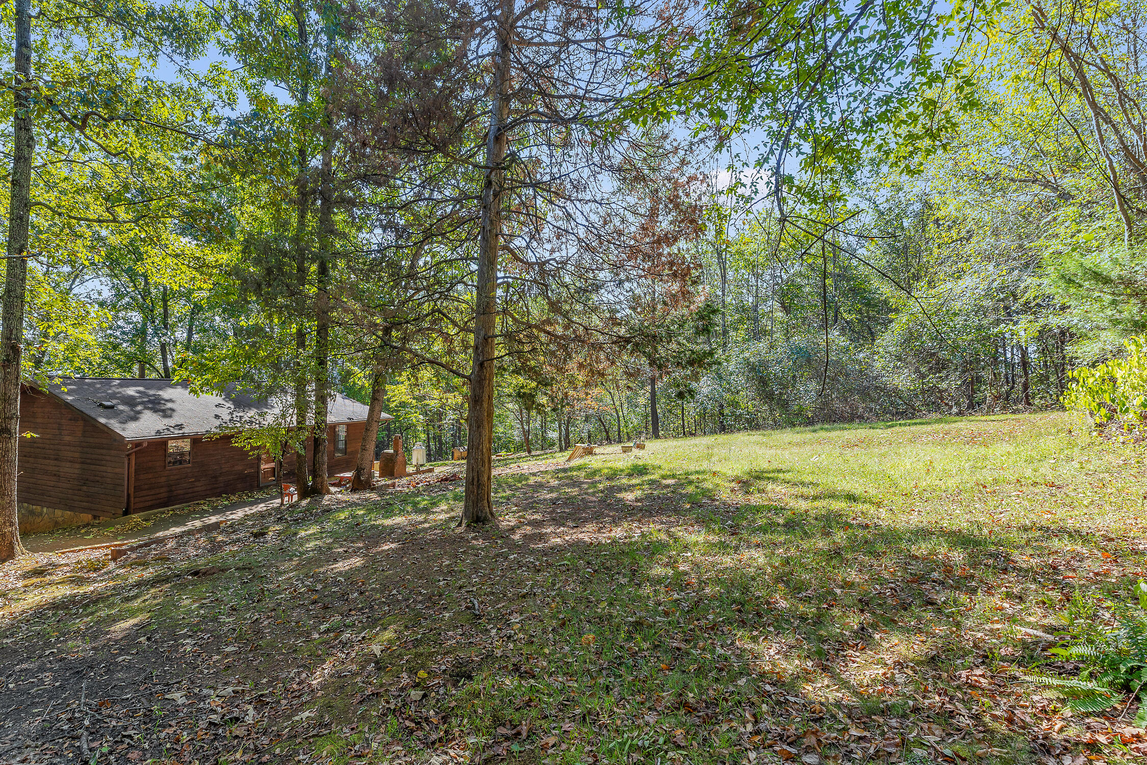 205 Herbert Drive