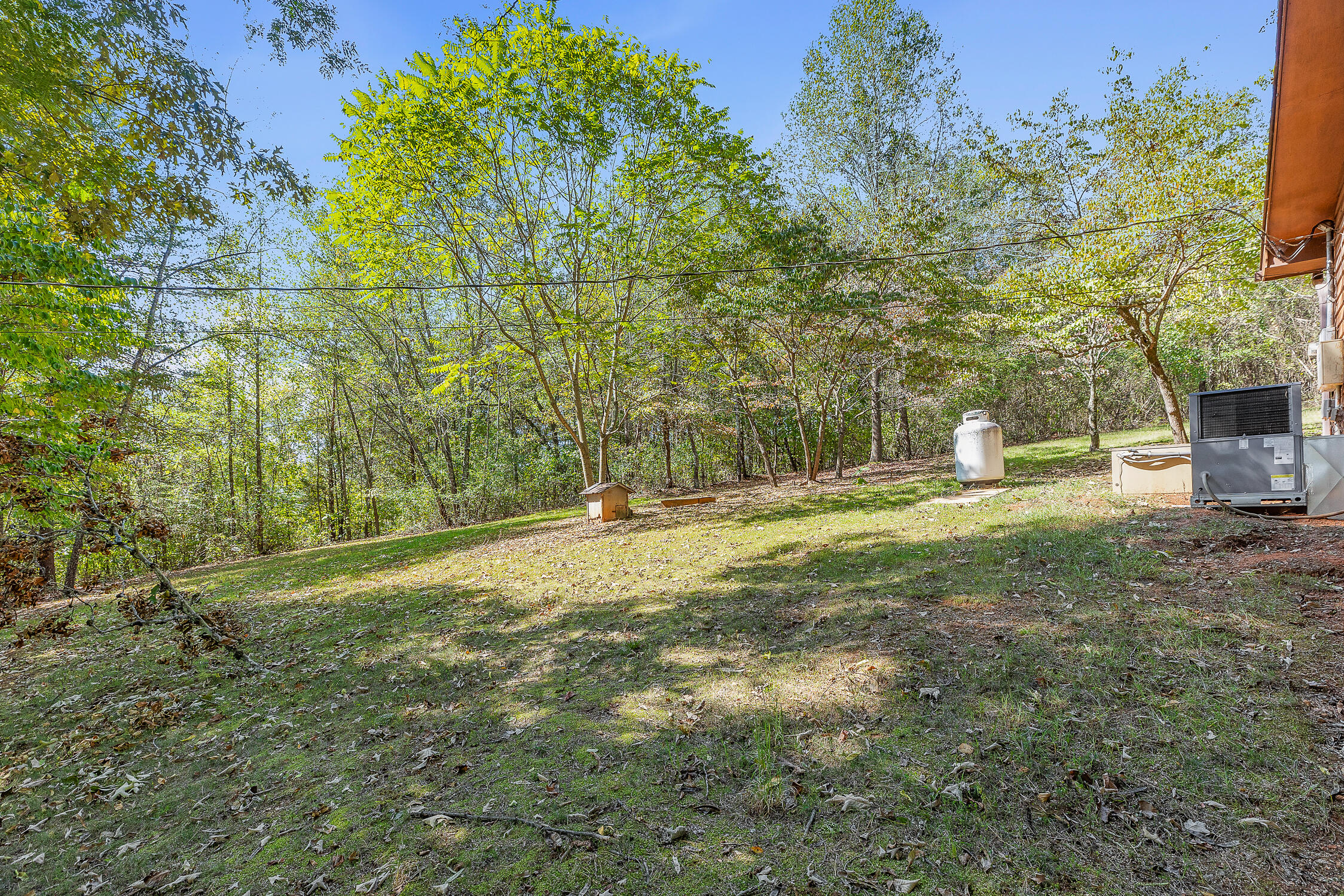 205 Herbert Drive