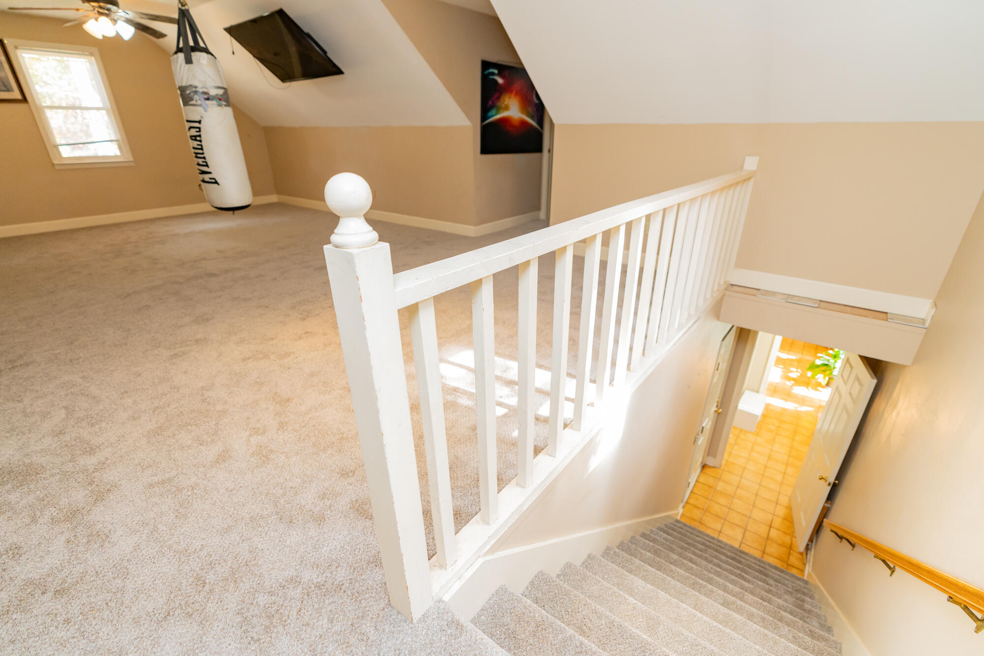 9218 Mountain Shadows Drive