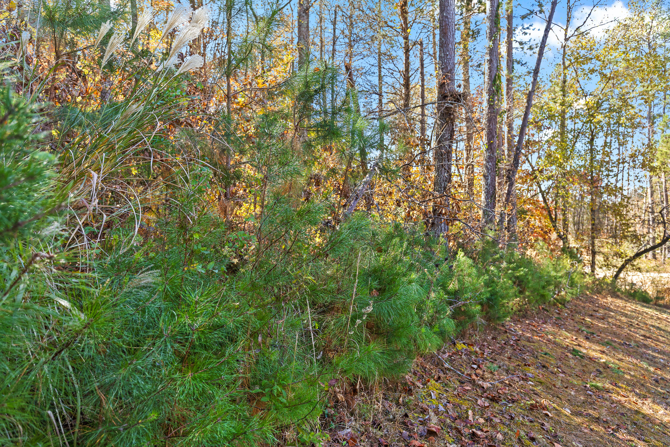 1736 Oakbrook Trail, 5