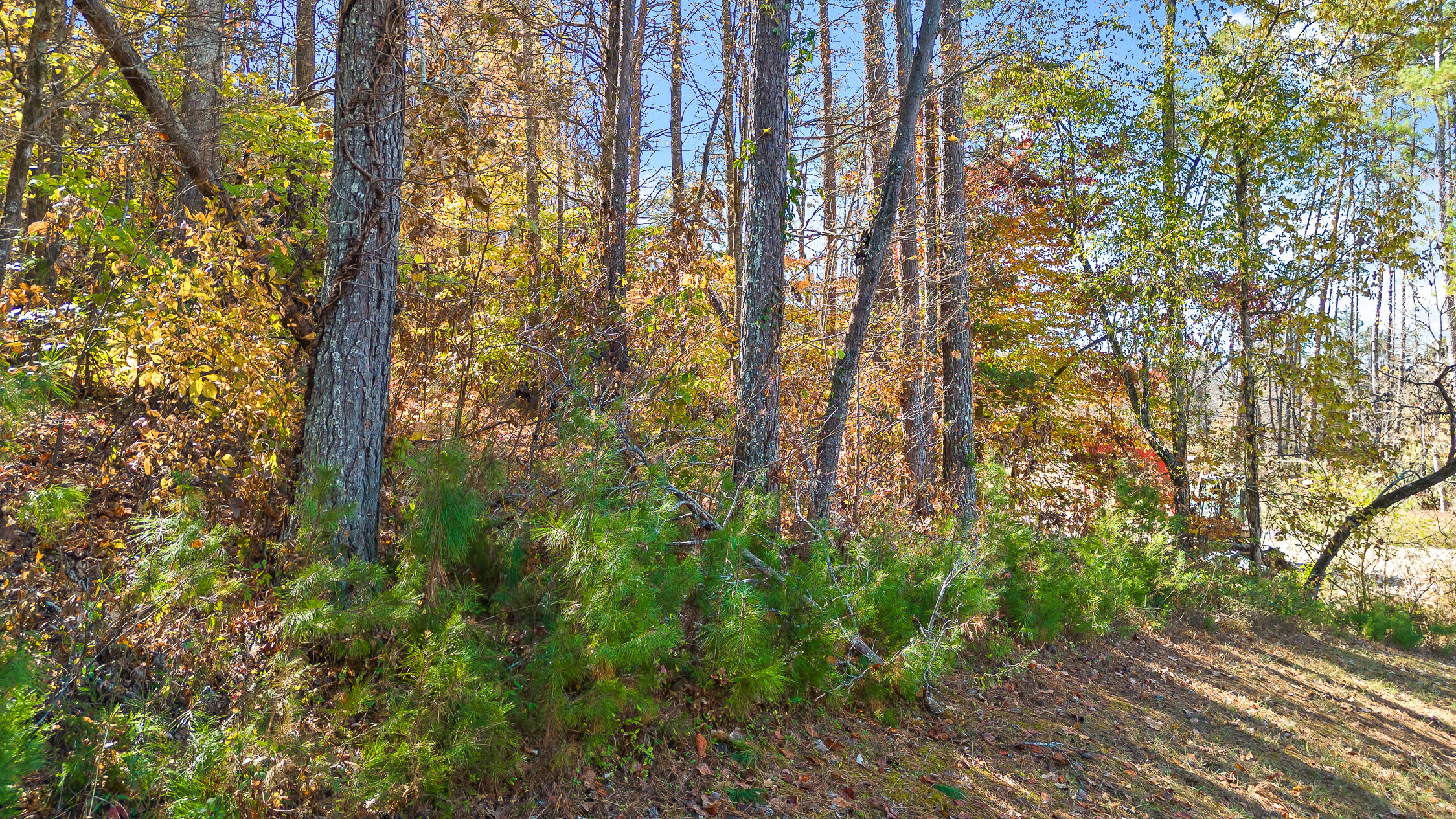 1736 Oakbrook Trail, 5
