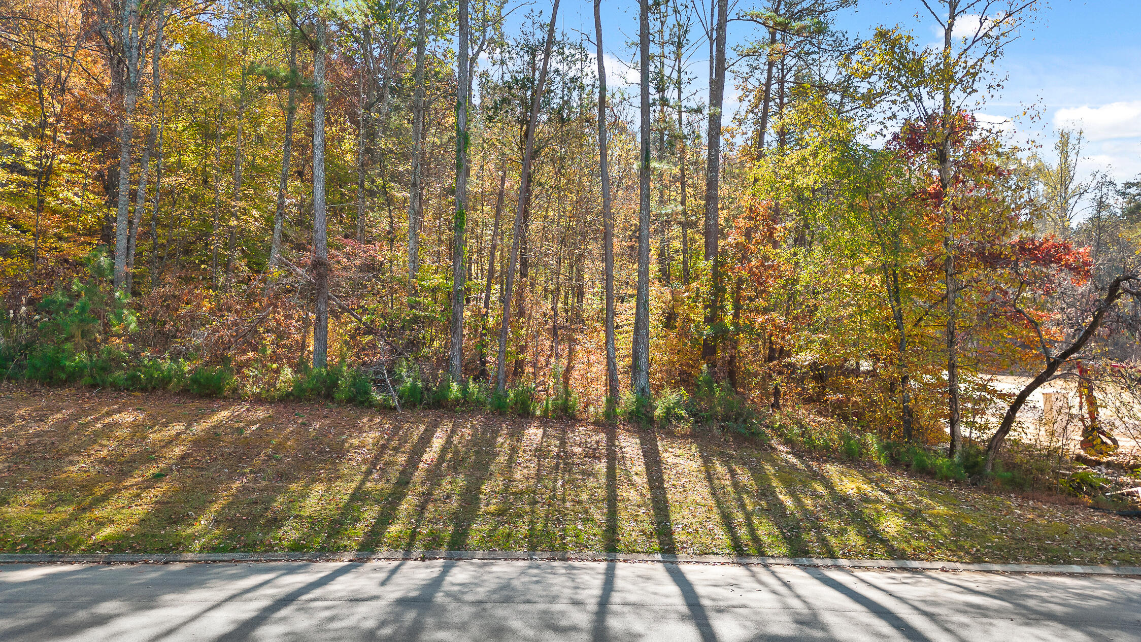 1736 Oakbrook Trail, 5