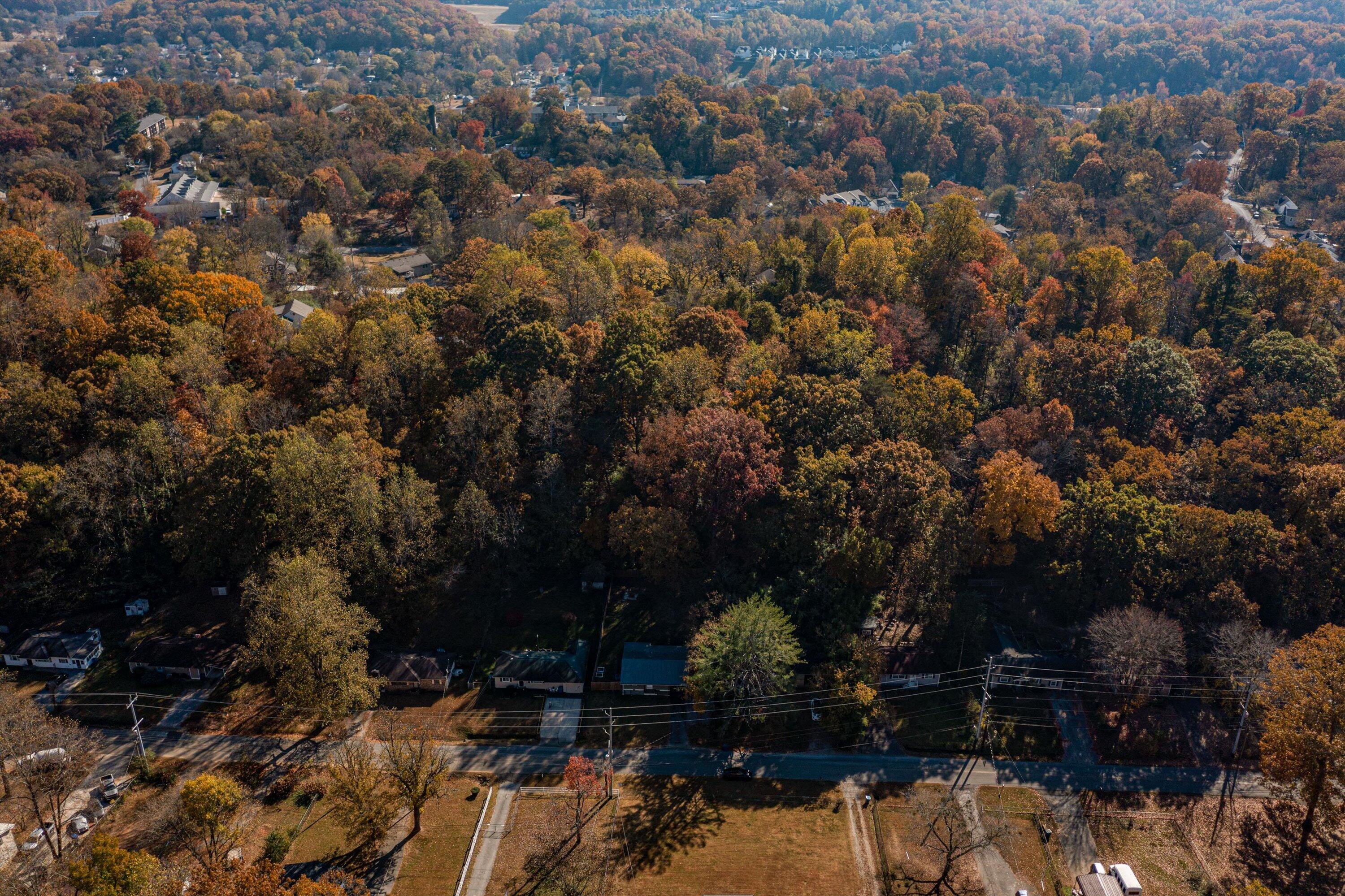 442 Lullwater Road