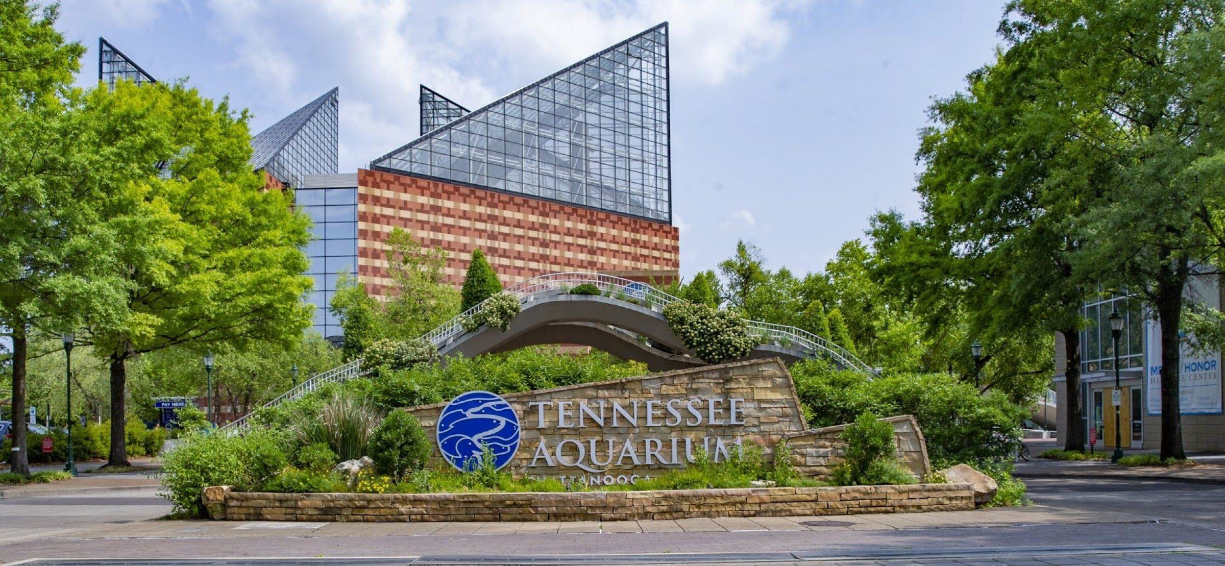 442 Lullwater Road