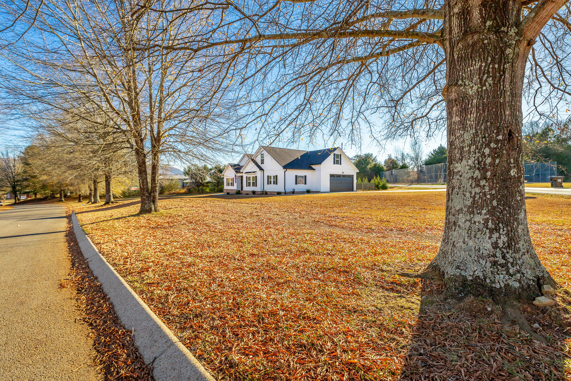 95 Madison Drive