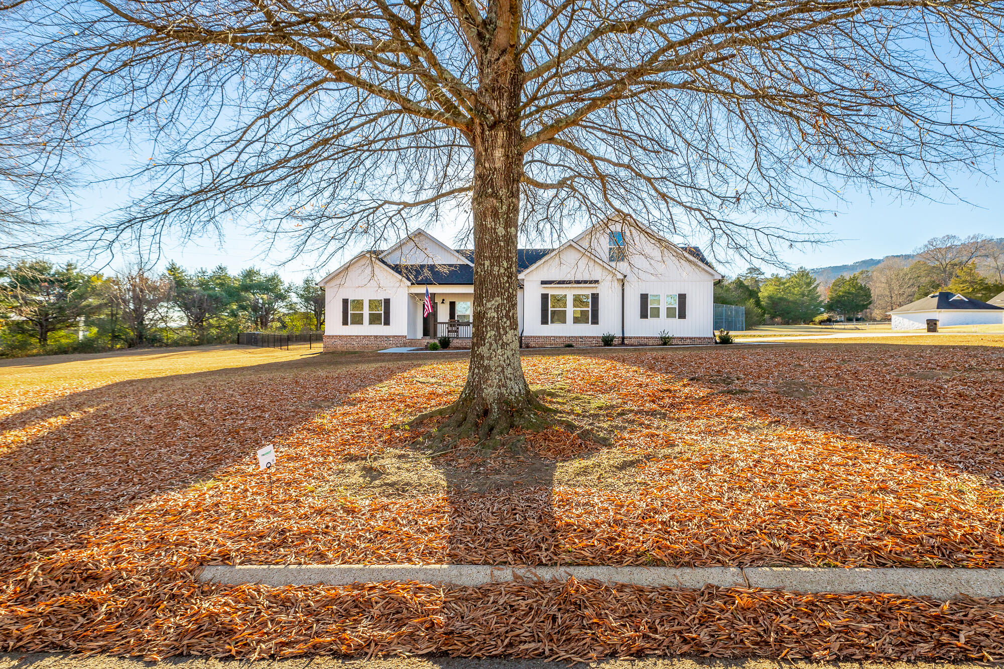 95 Madison Drive