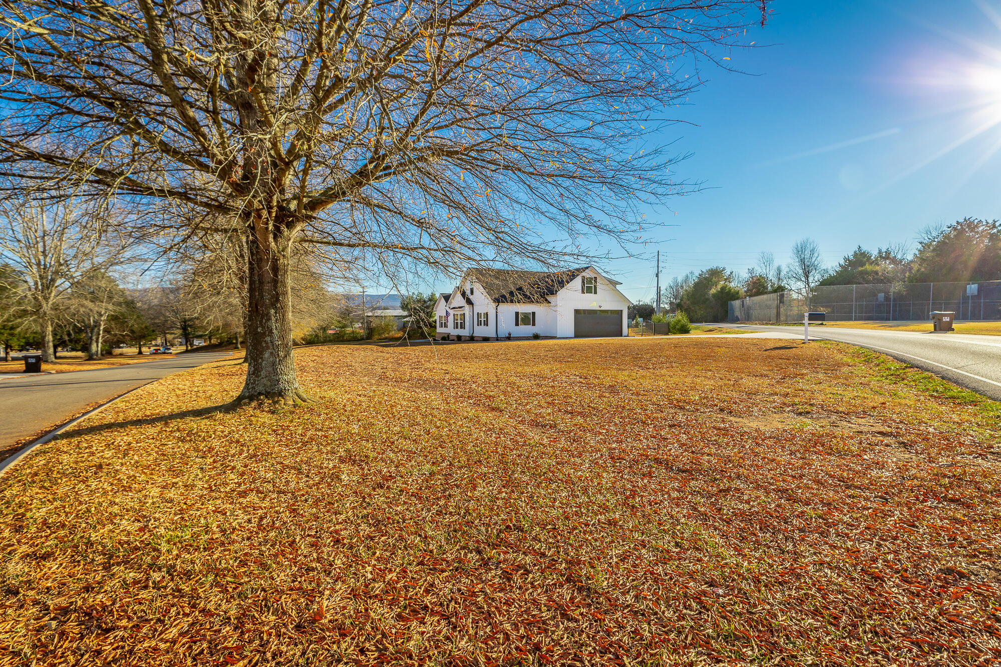 95 Madison Drive