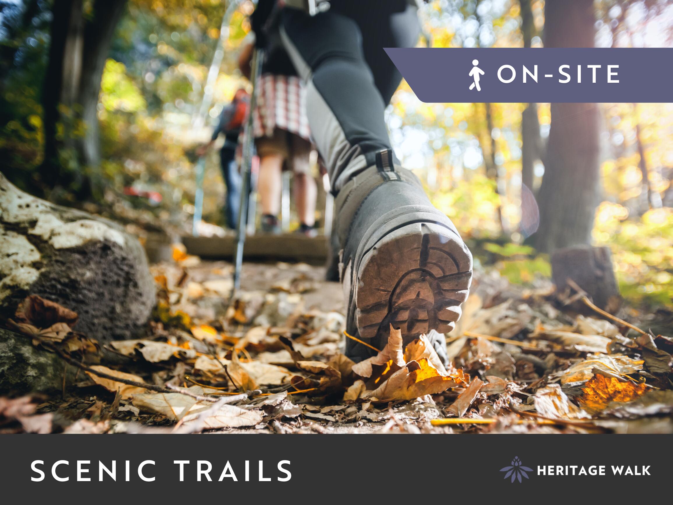 8195 Lemonade Street