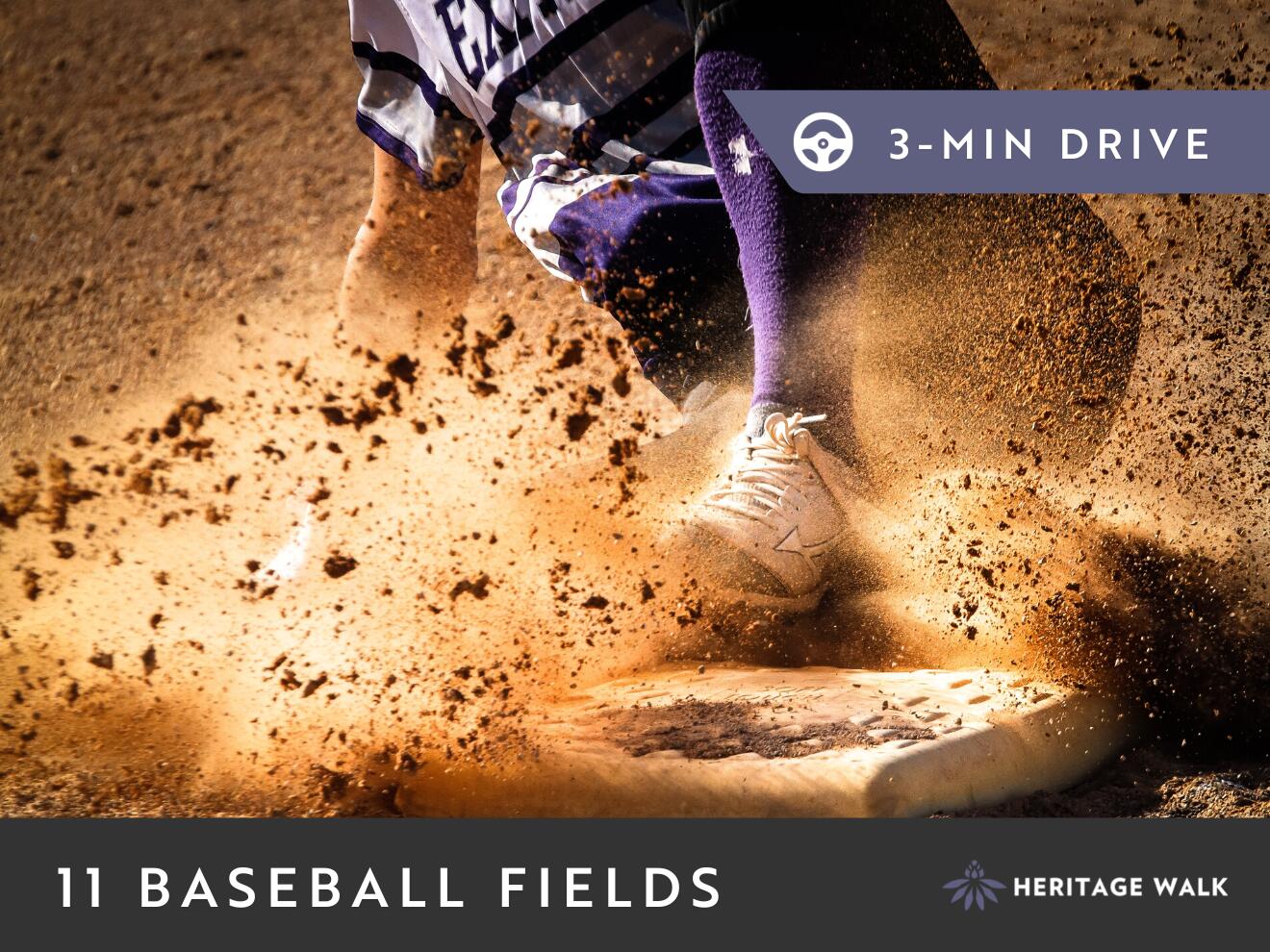 8195 Lemonade Street