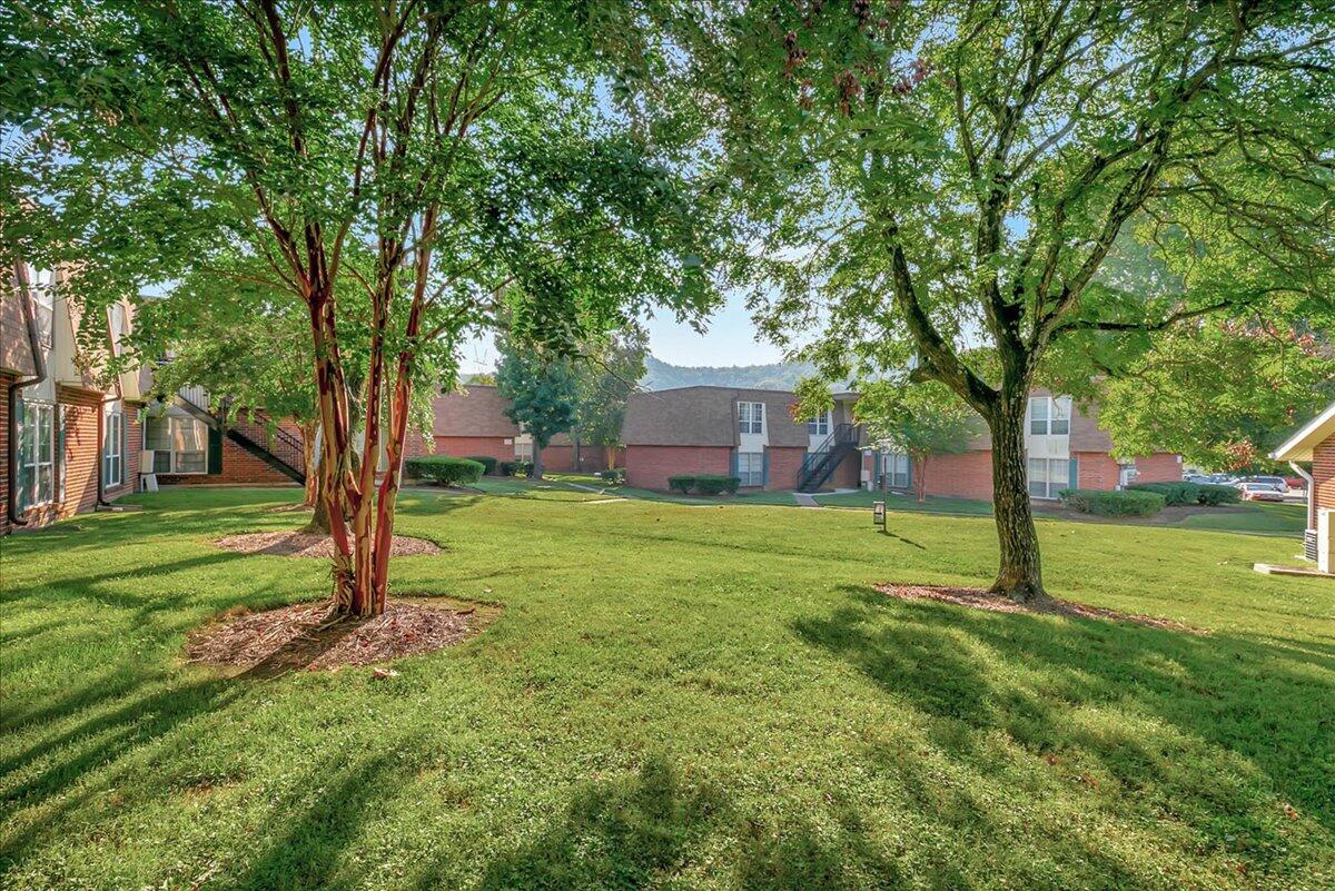 900 Mountain Creek Rd Road, 145