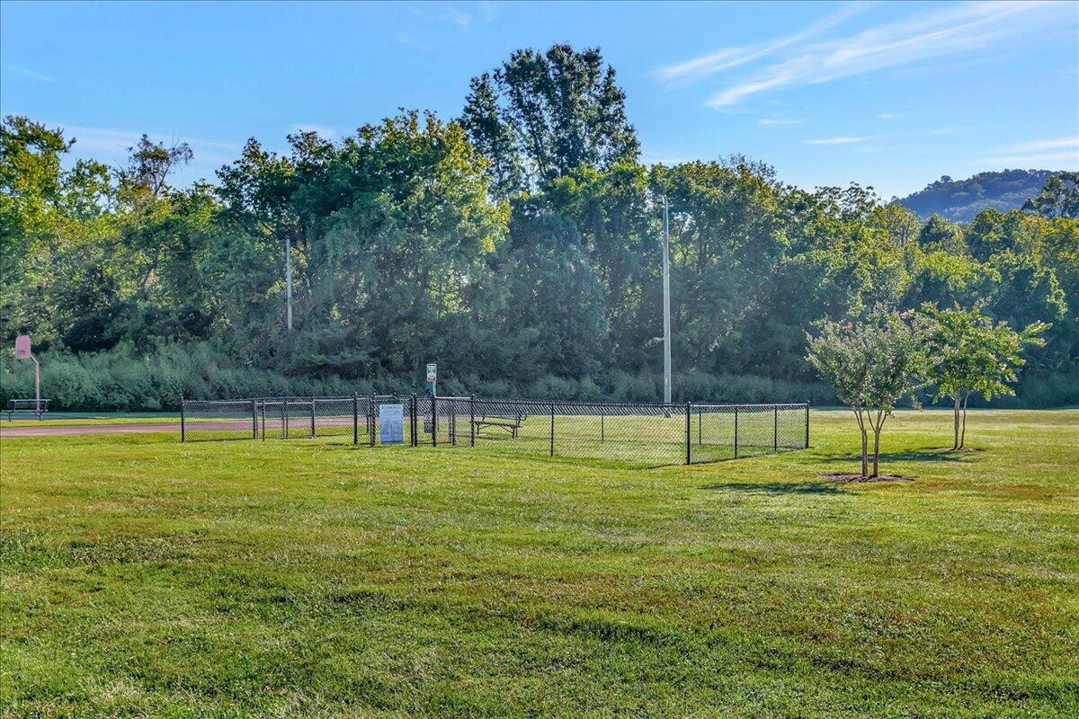 900 Mountain Creek Rd Road, 145