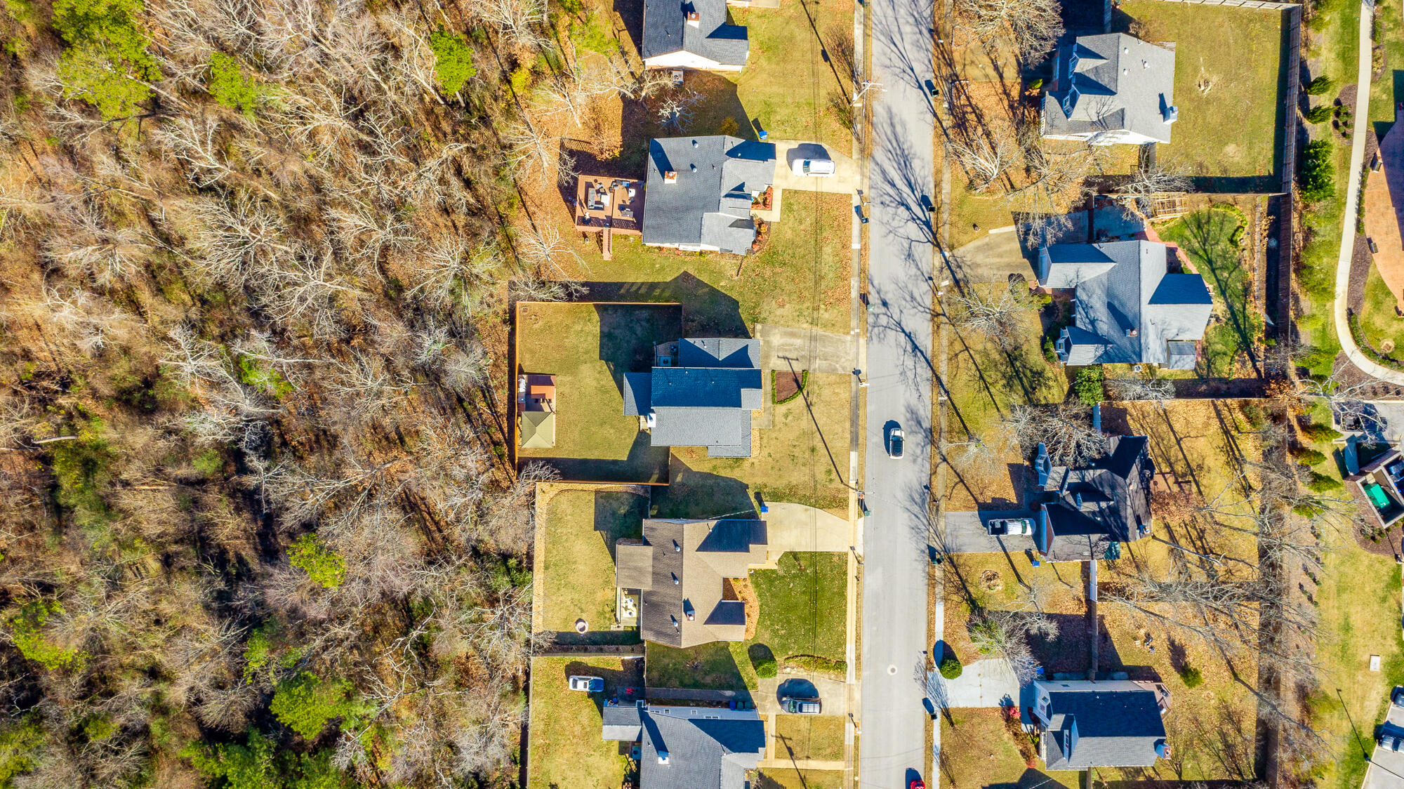 2319 Ashford Drive