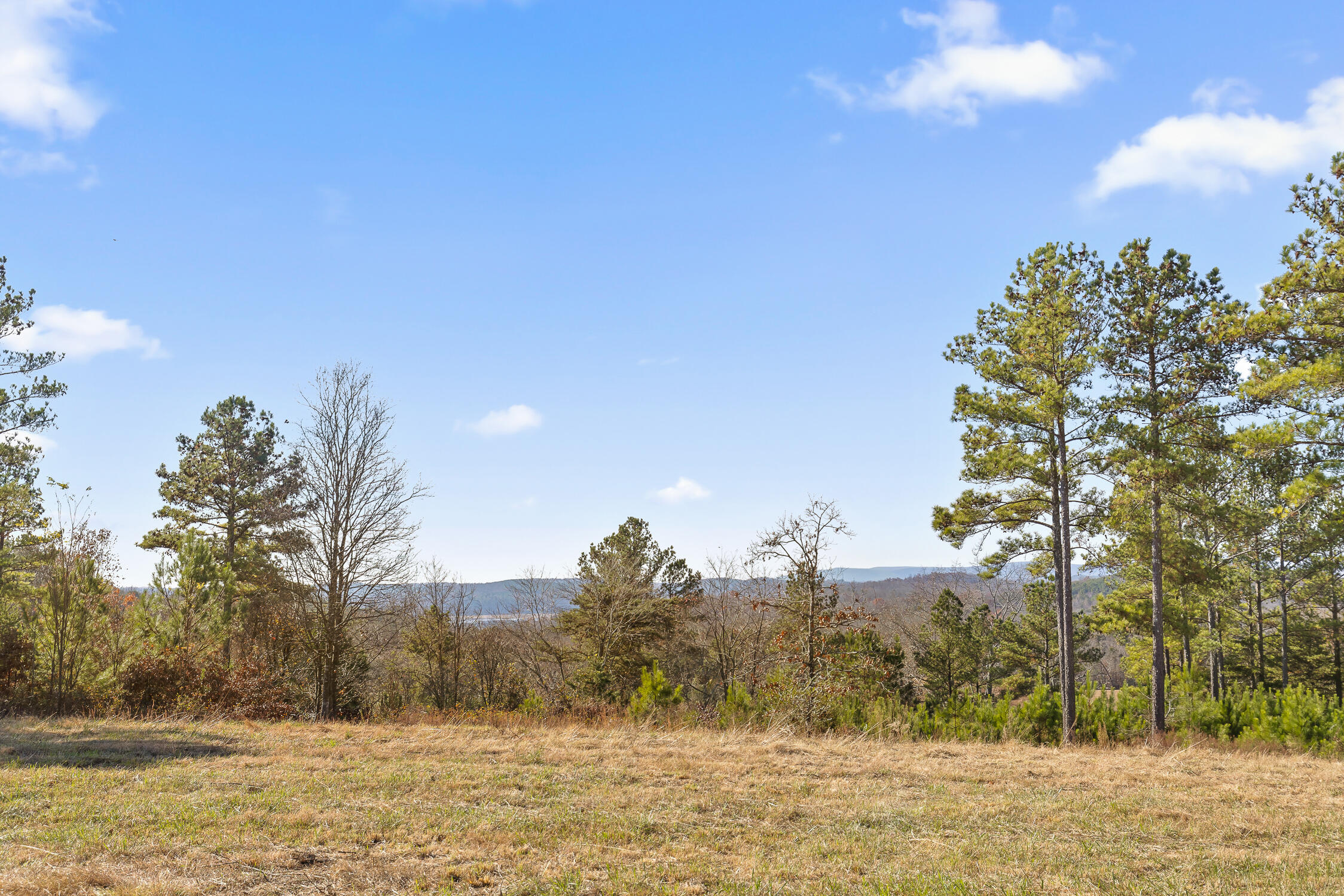0 Delta Lane, Lot 3
