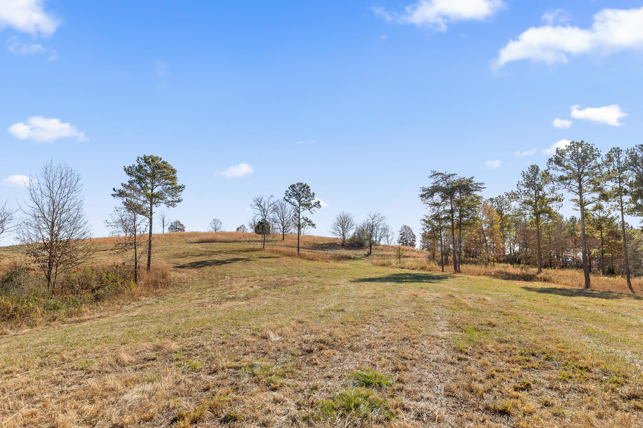 0 Delta Lane, Lot 3
