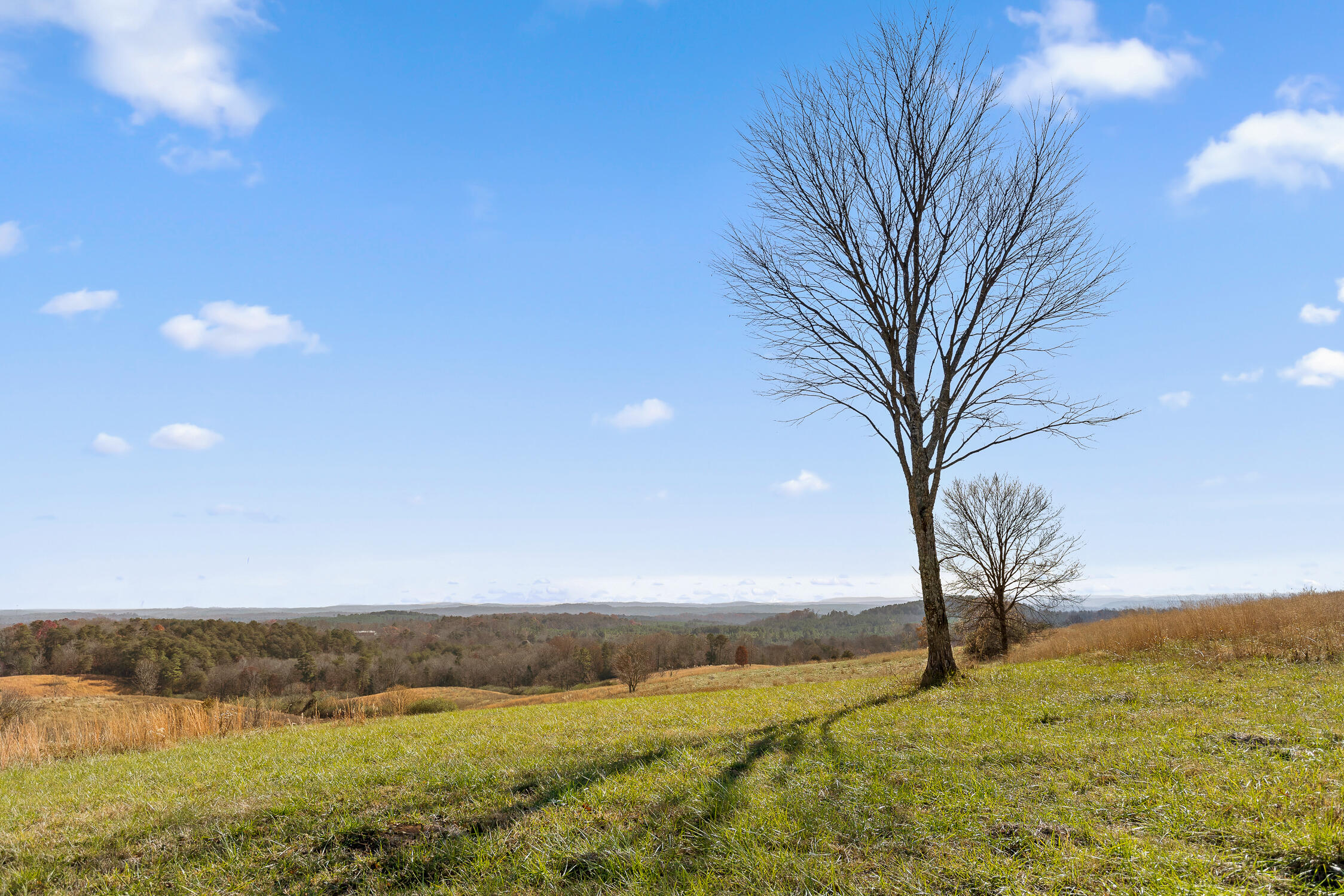 0 Delta Lane, Lot 3