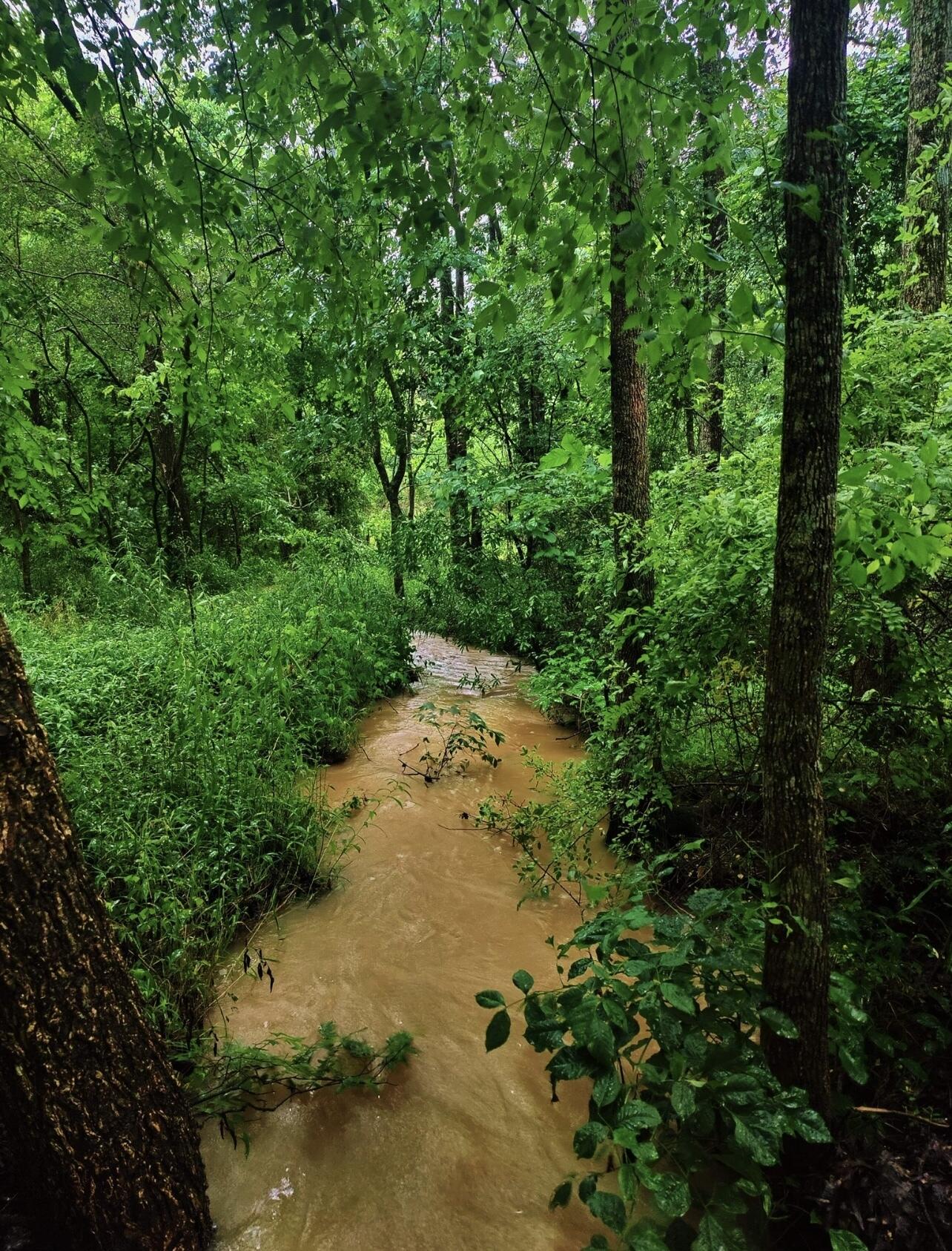 5000 Red Clay Road