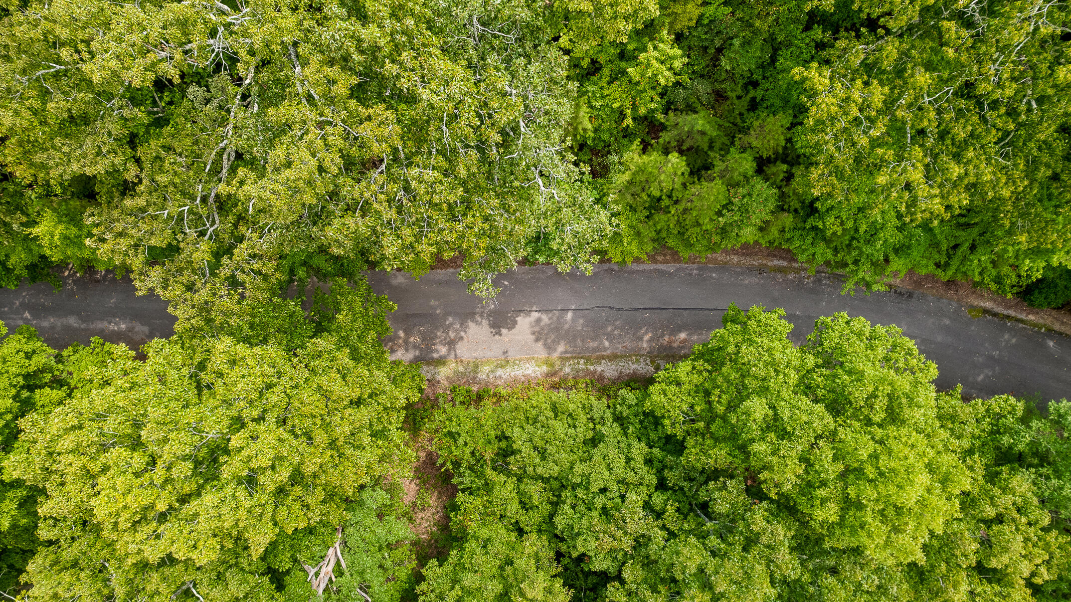 0 Bluffs N Road, 10