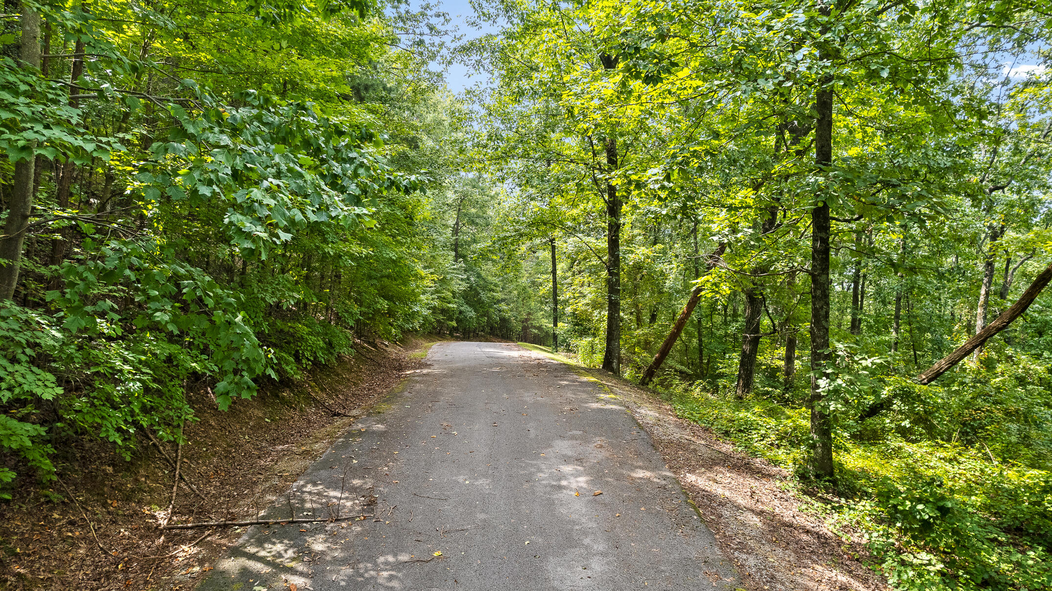 0 Bluffs N Road, 10