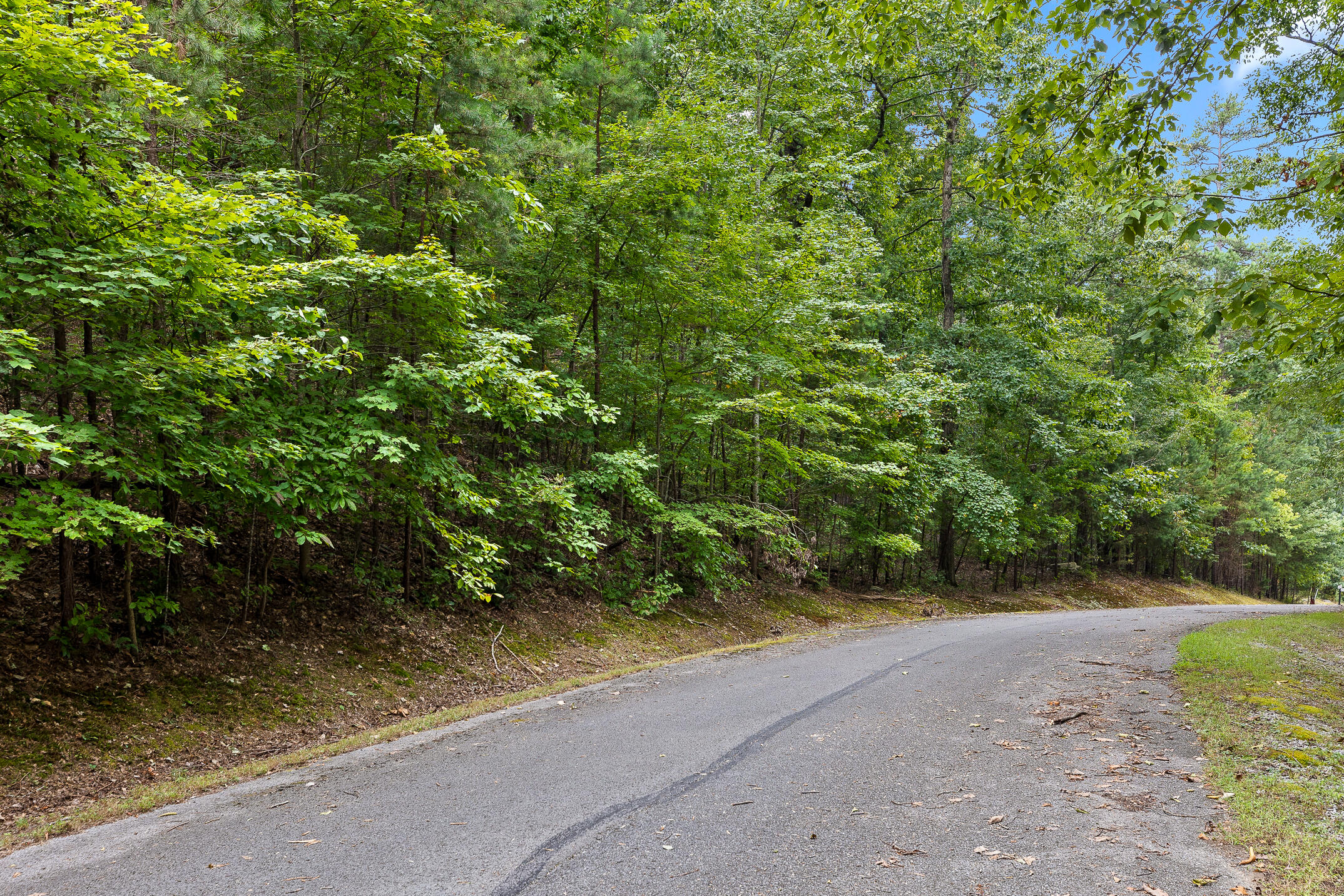 0 Bluffs N Road, 10