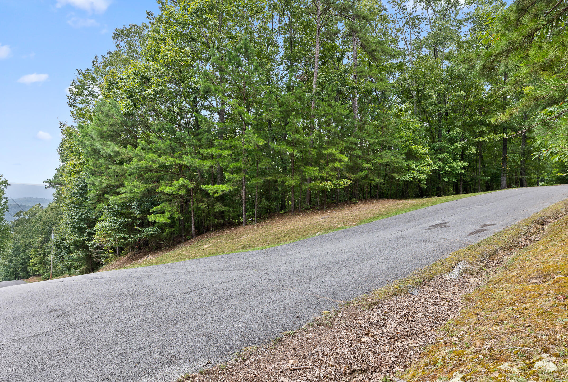 0 Bluffs N Road, 10
