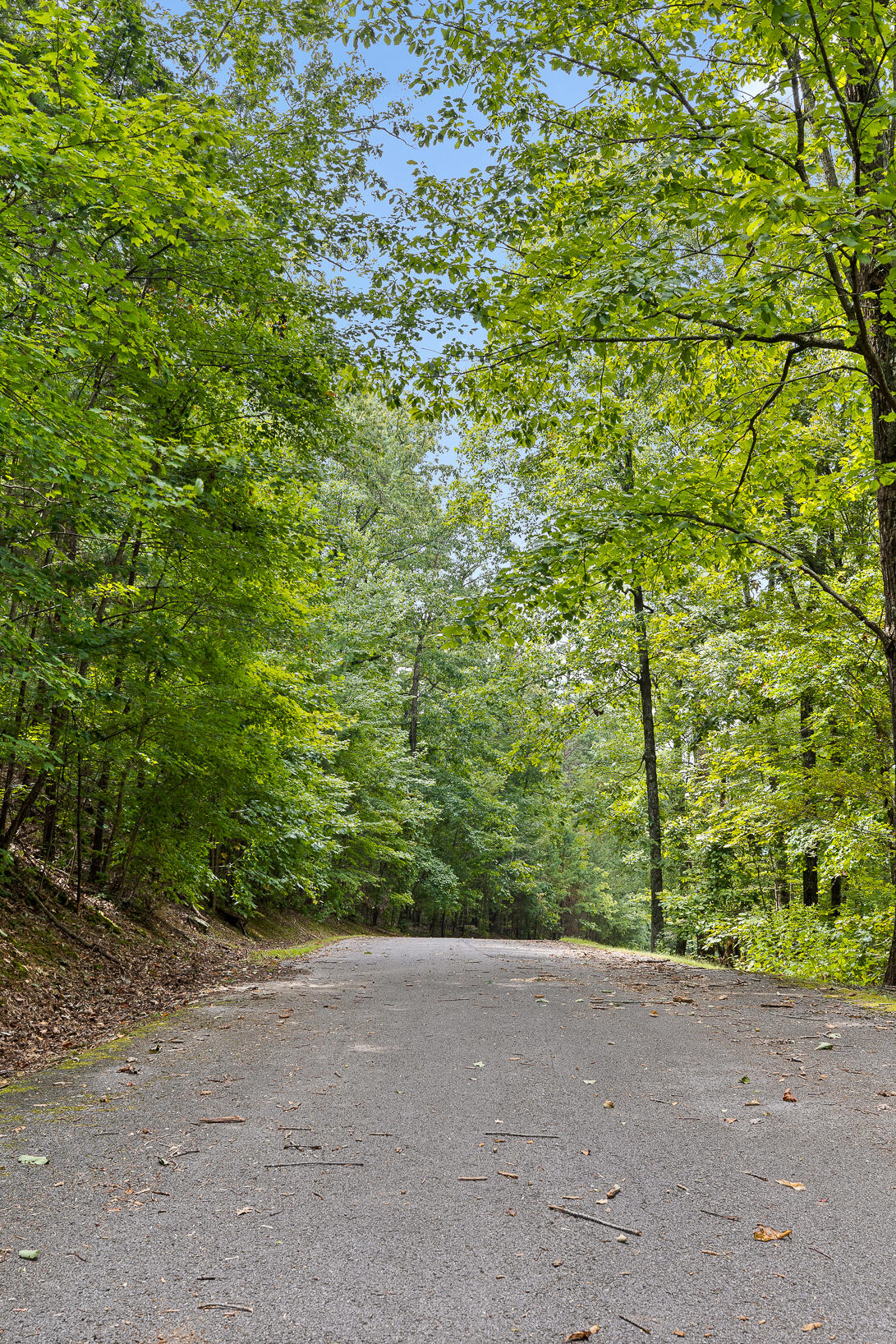0 Bluffs N Road, 10