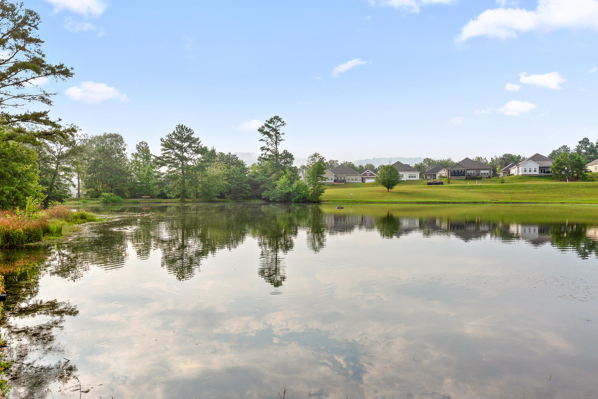 4480 Forsythia Way