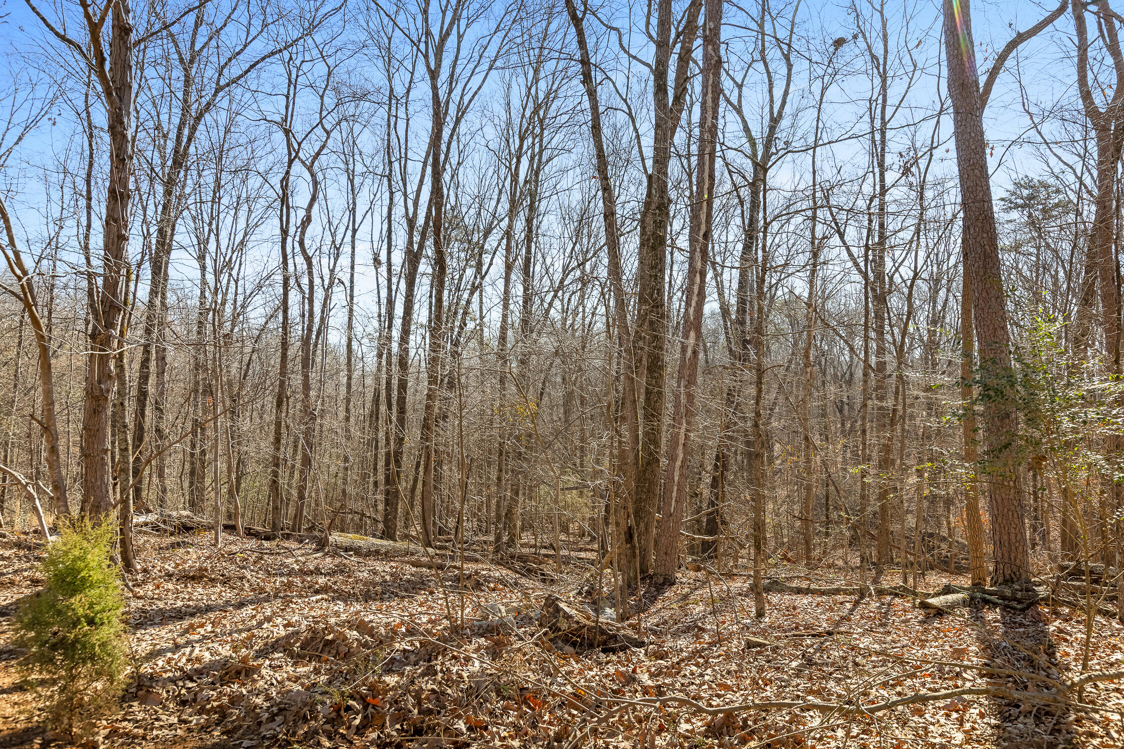 3096 Chapel Bend Drive