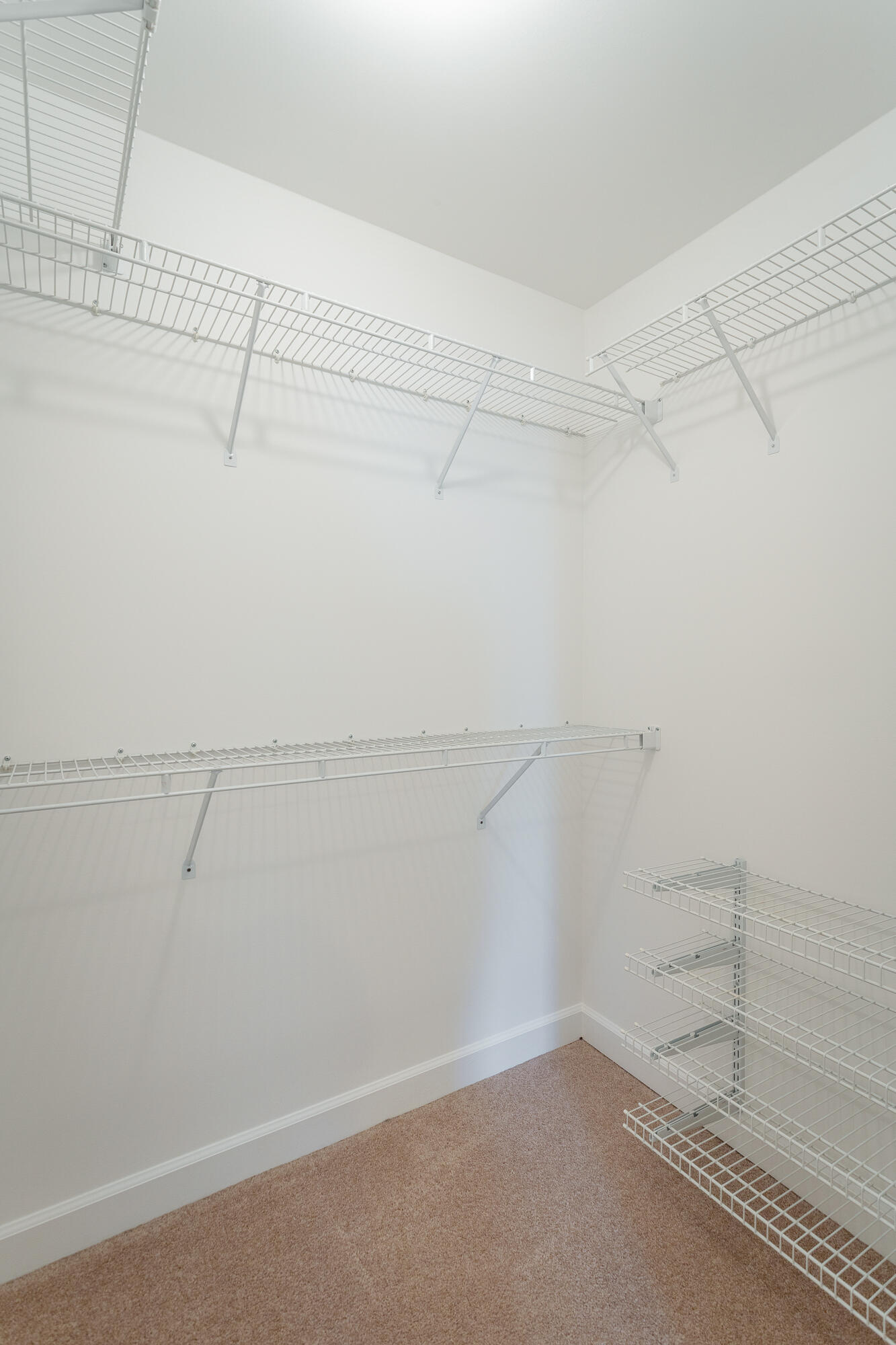 2323 Laurelton Creek Lane