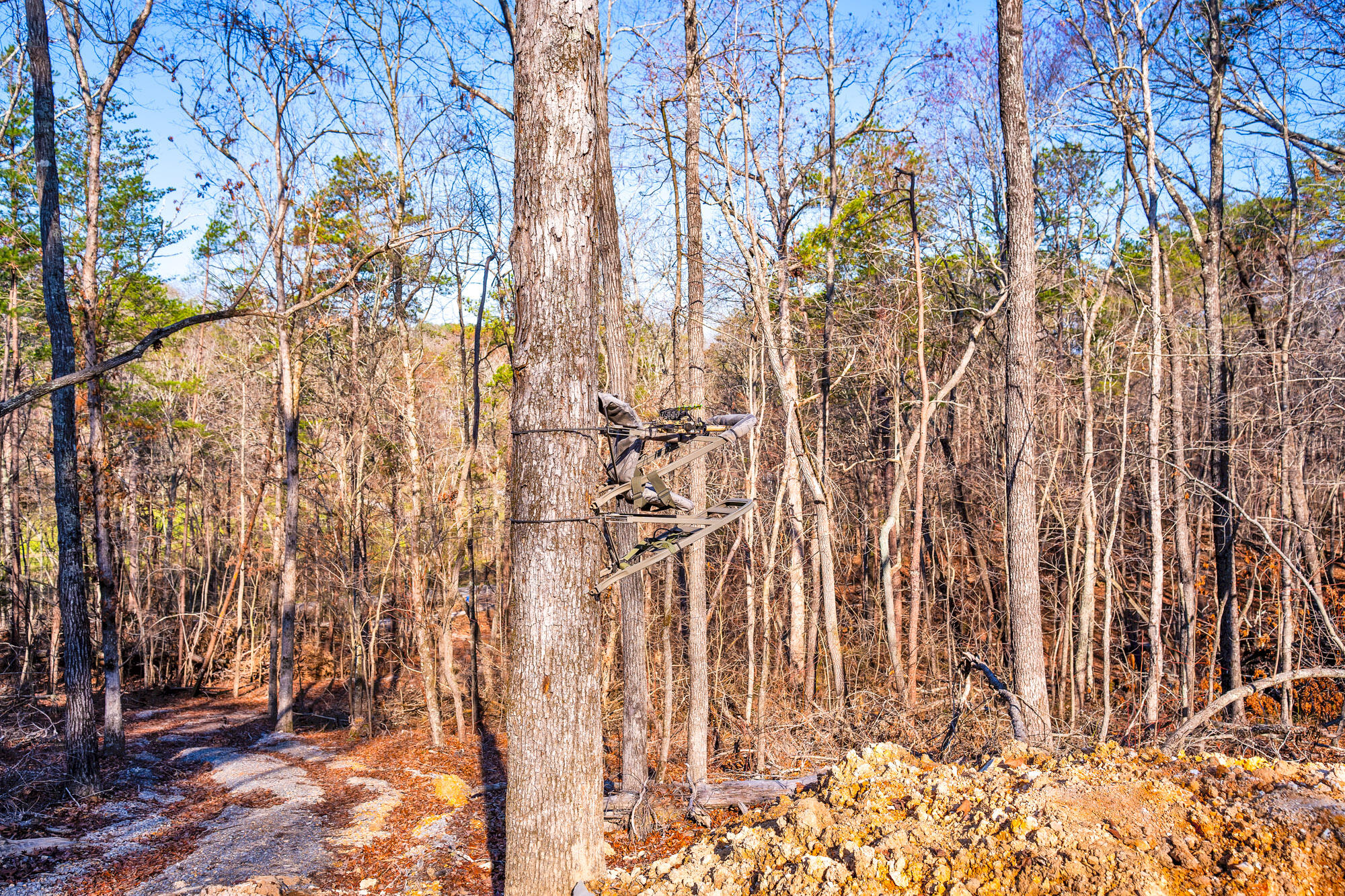 83 Sunset Ridge Drive