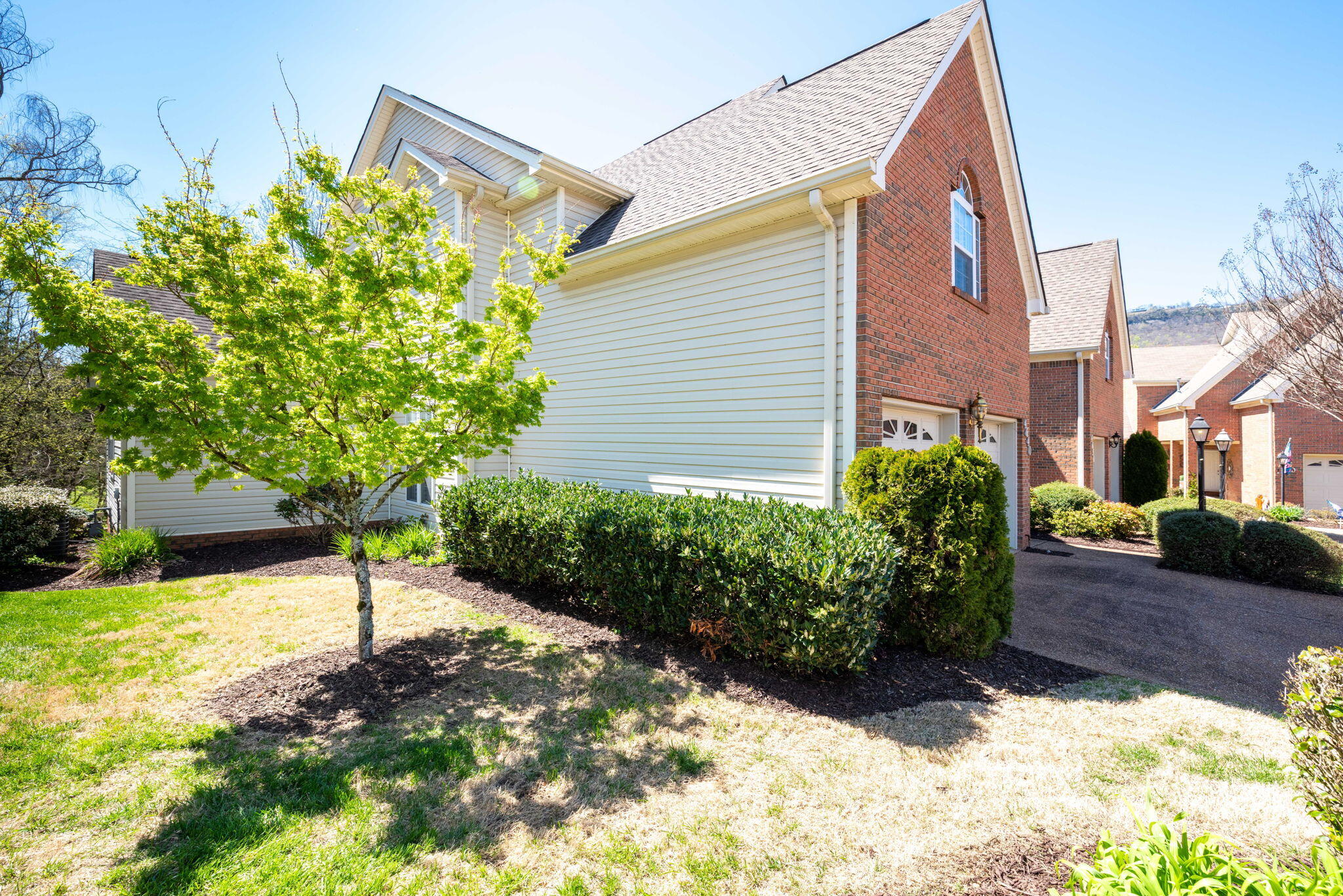 4640 Fire Pink Trail