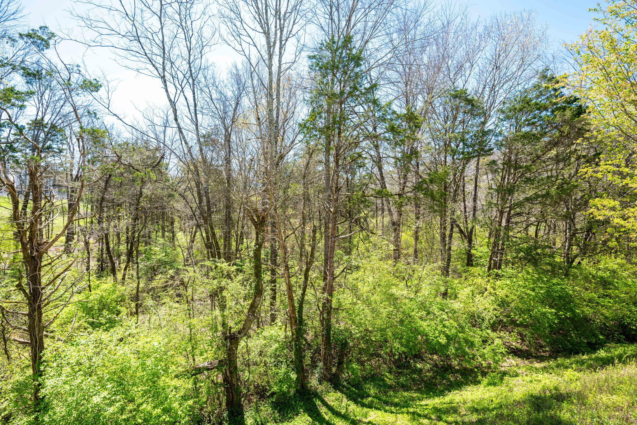 4640 Fire Pink Trail