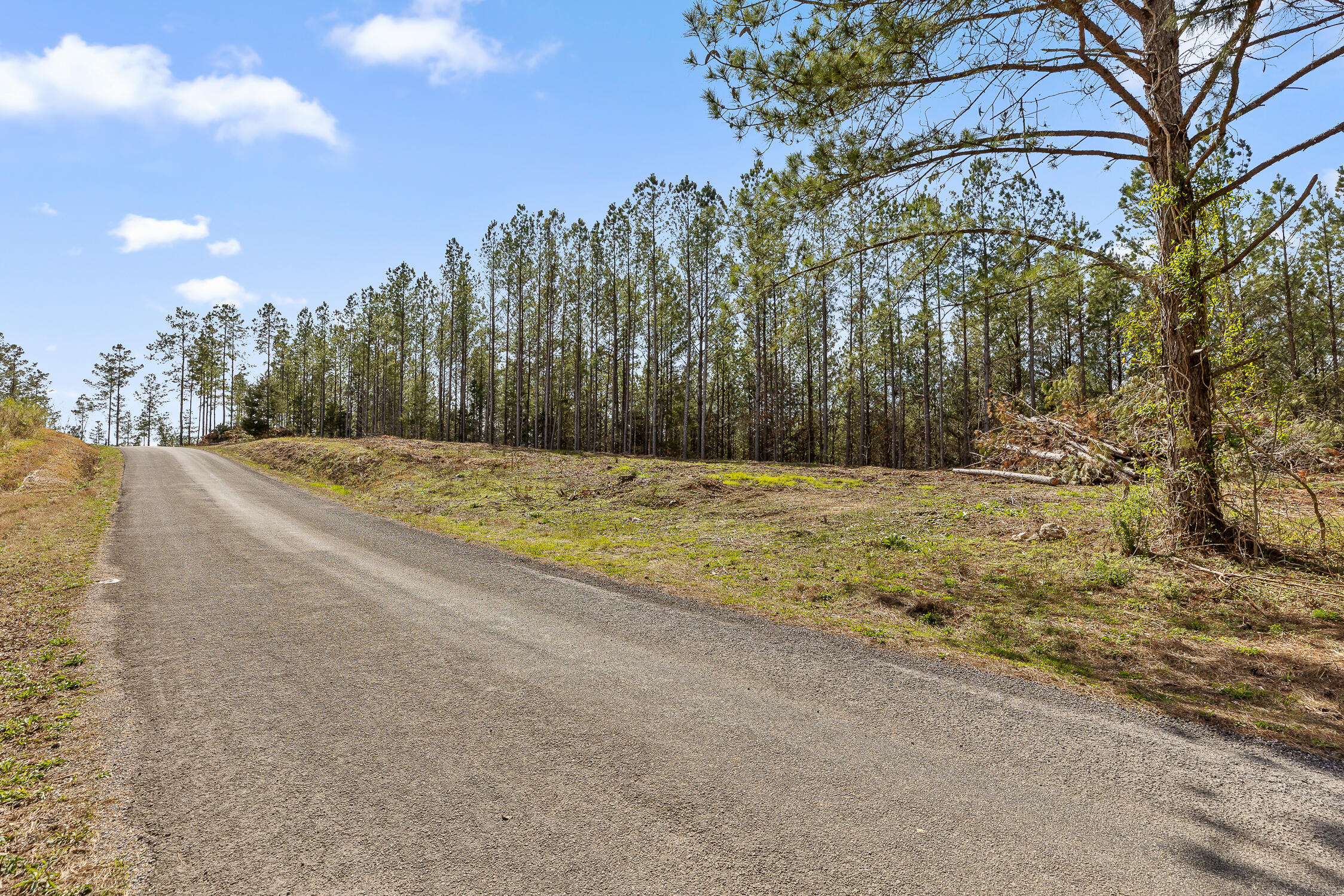 00 Co Rd 42
