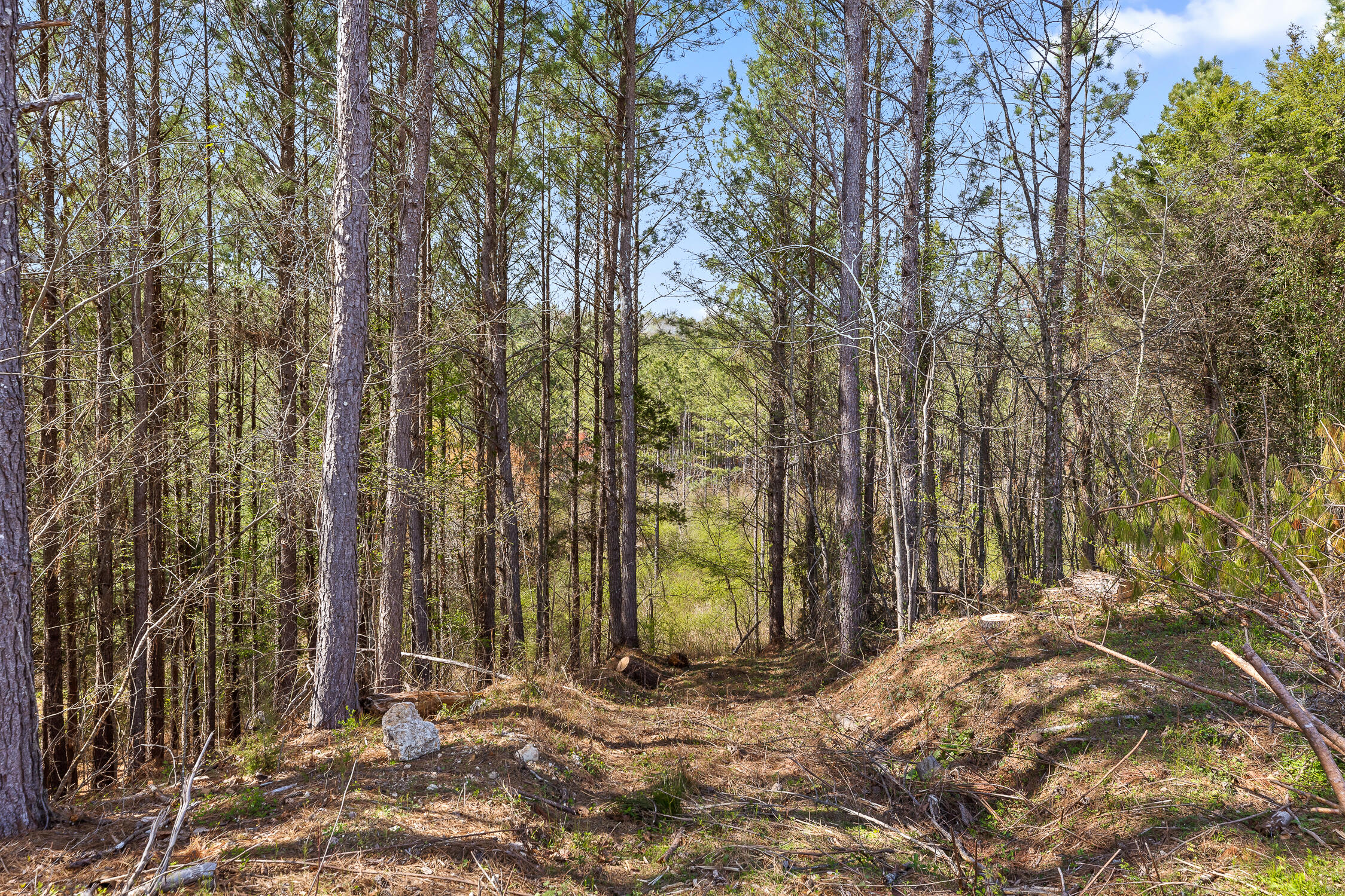 00 Co Rd 42